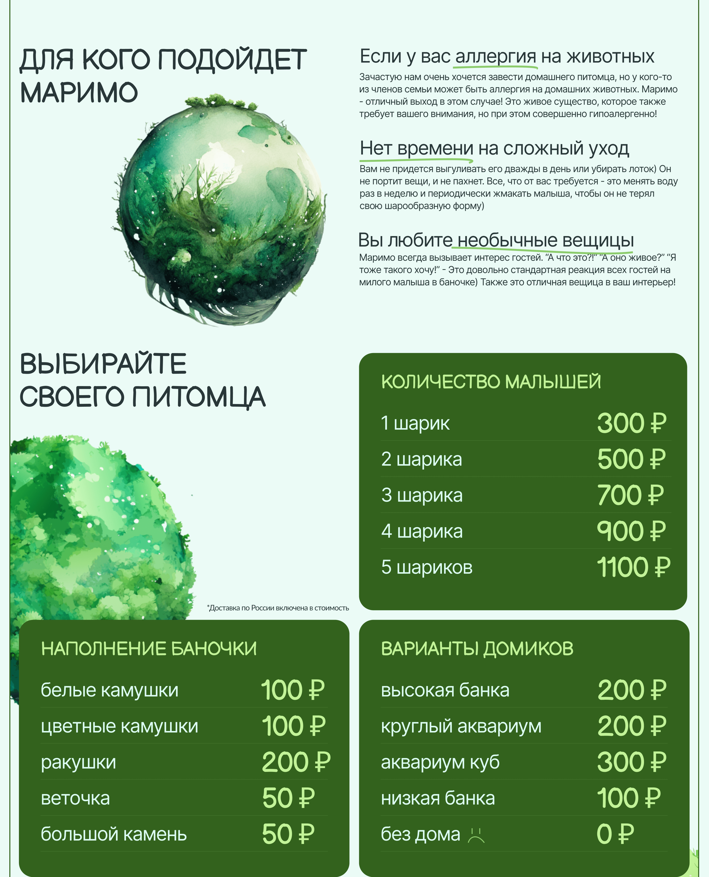 Немох / Лендинг про японскую водоросль Маримо — Изображение №5 — Иллюстрация, Графика на Dprofile