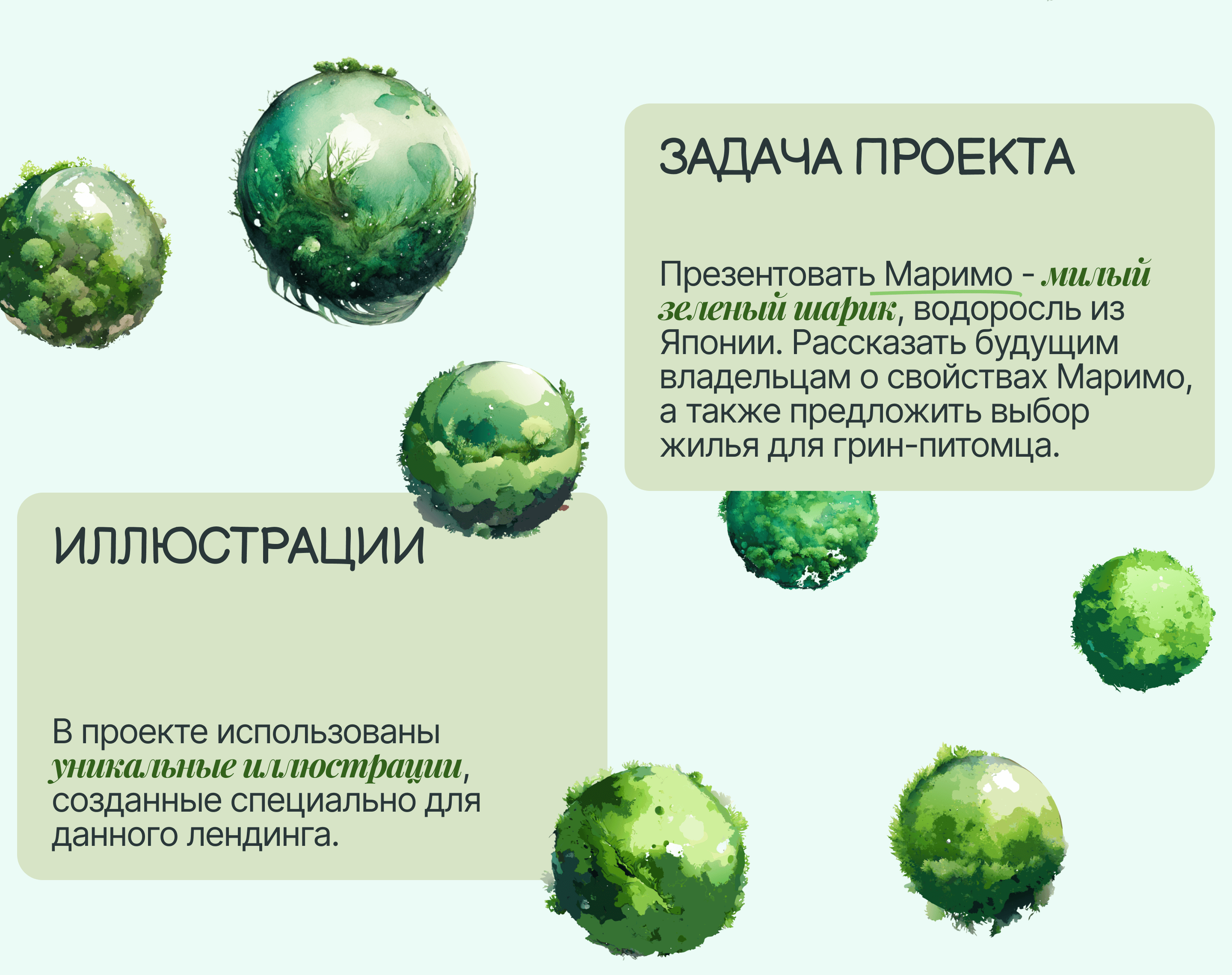 Немох / Лендинг про японскую водоросль Маримо — Изображение №2 — Иллюстрация, Графика на Dprofile