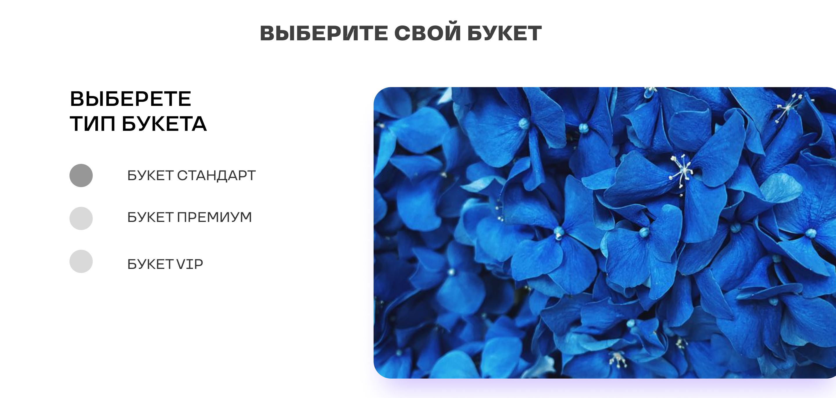 Магазин цветов — Изображение №2 — Интерфейсы, Иллюстрация на Dprofile