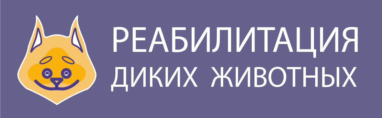 Центр реабилитации диких животных — Изображение №1 — Брендинг на Dprofile