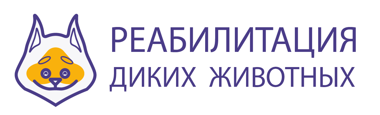 Центр реабилитации диких животных — Изображение №2 — Брендинг на Dprofile