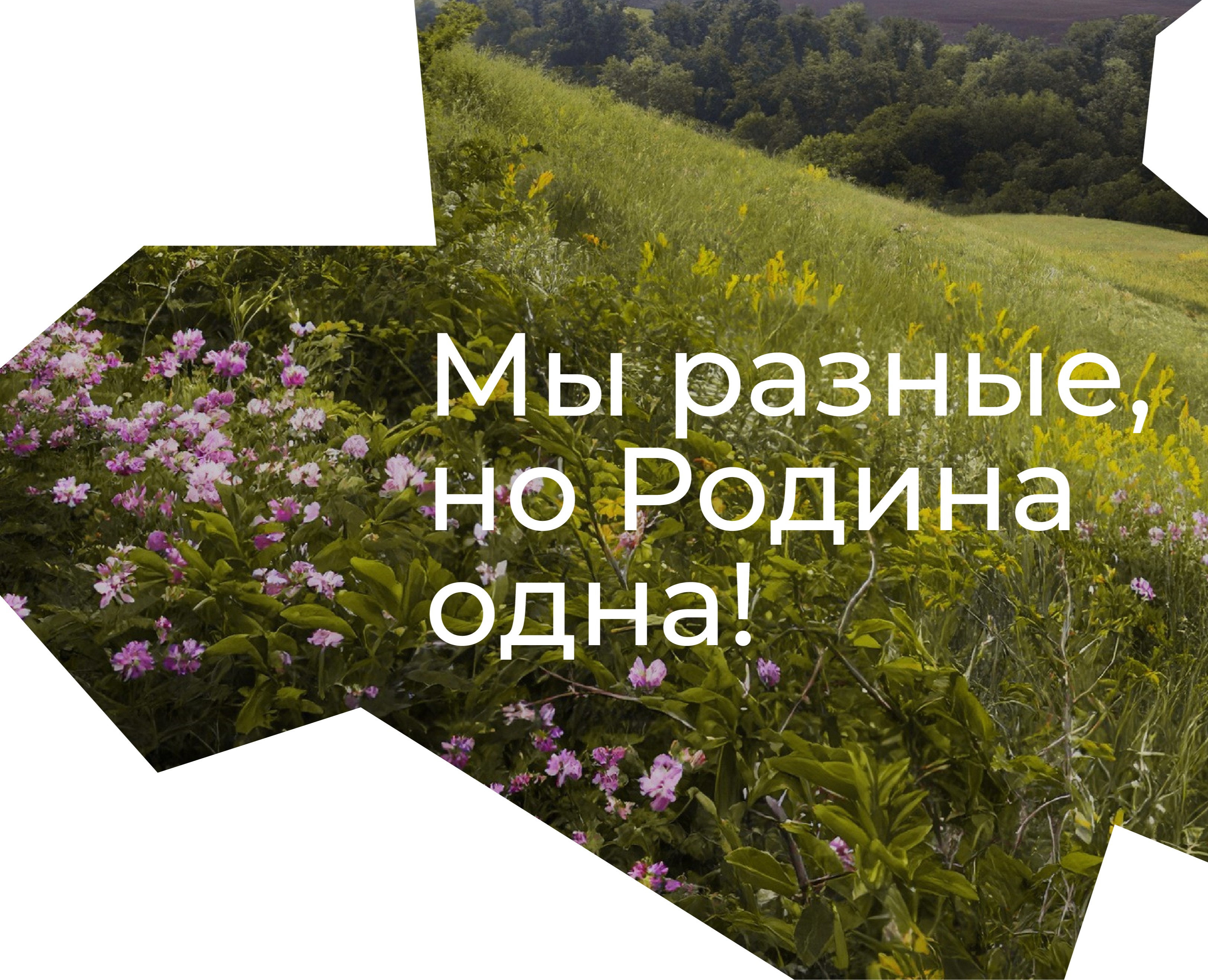 Венок дружбы. Фирменный стиль — Брендинг на Dprofile