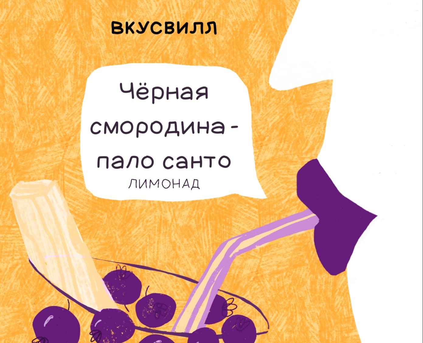 Дизайн упаковки лимонадов Вкусвилл — Брендинг, Иллюстрация на Dprofile