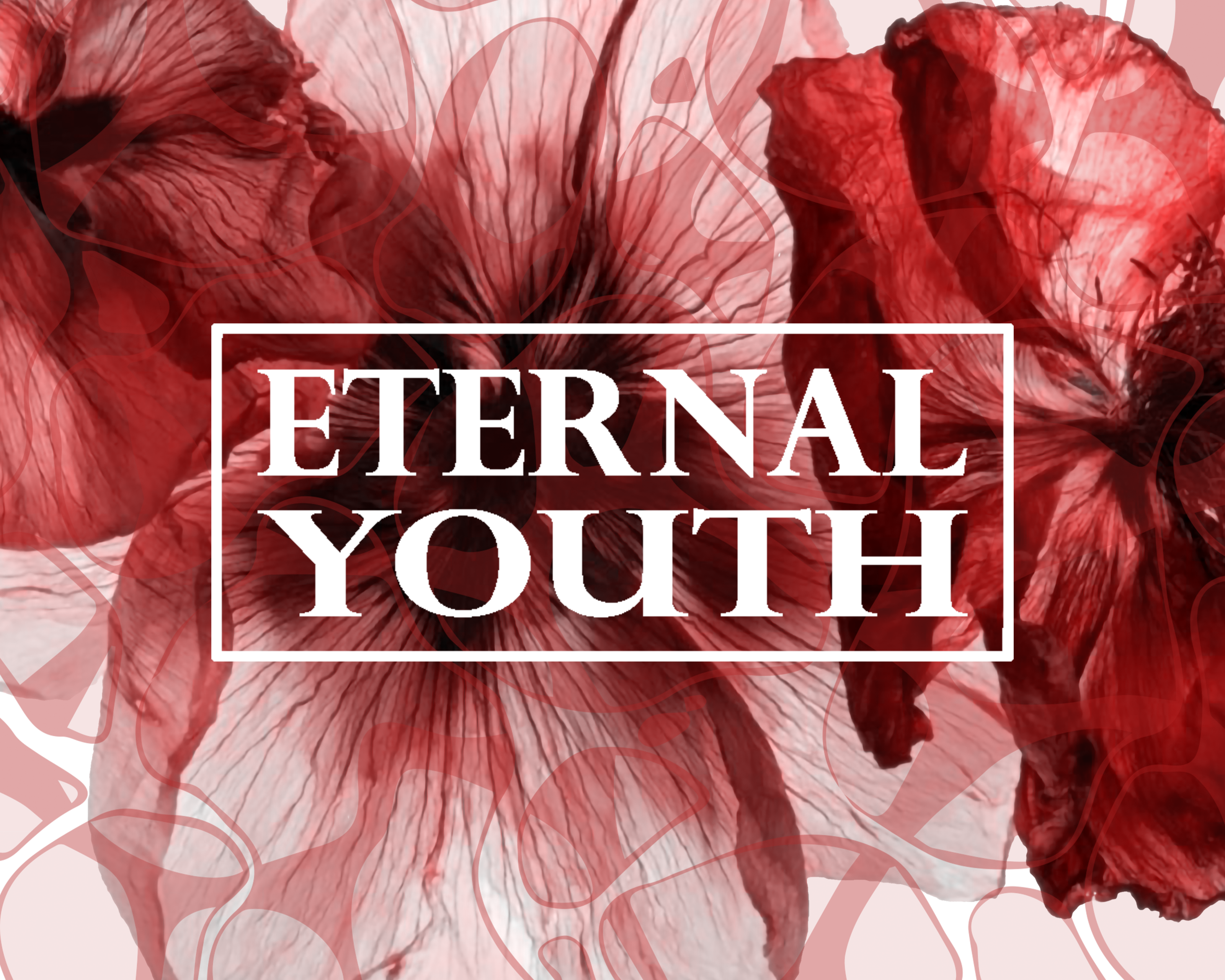 Eternal Youth - серия омолаживающего крема — Изображение №1 — Брендинг, Графика на Dprofile