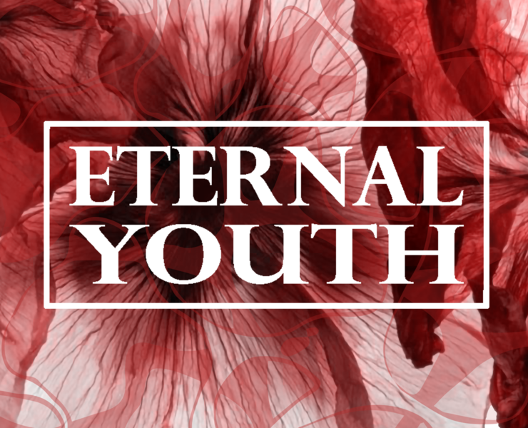 Eternal Youth - серия омолаживающего крема — Брендинг, Графика на Dprofile