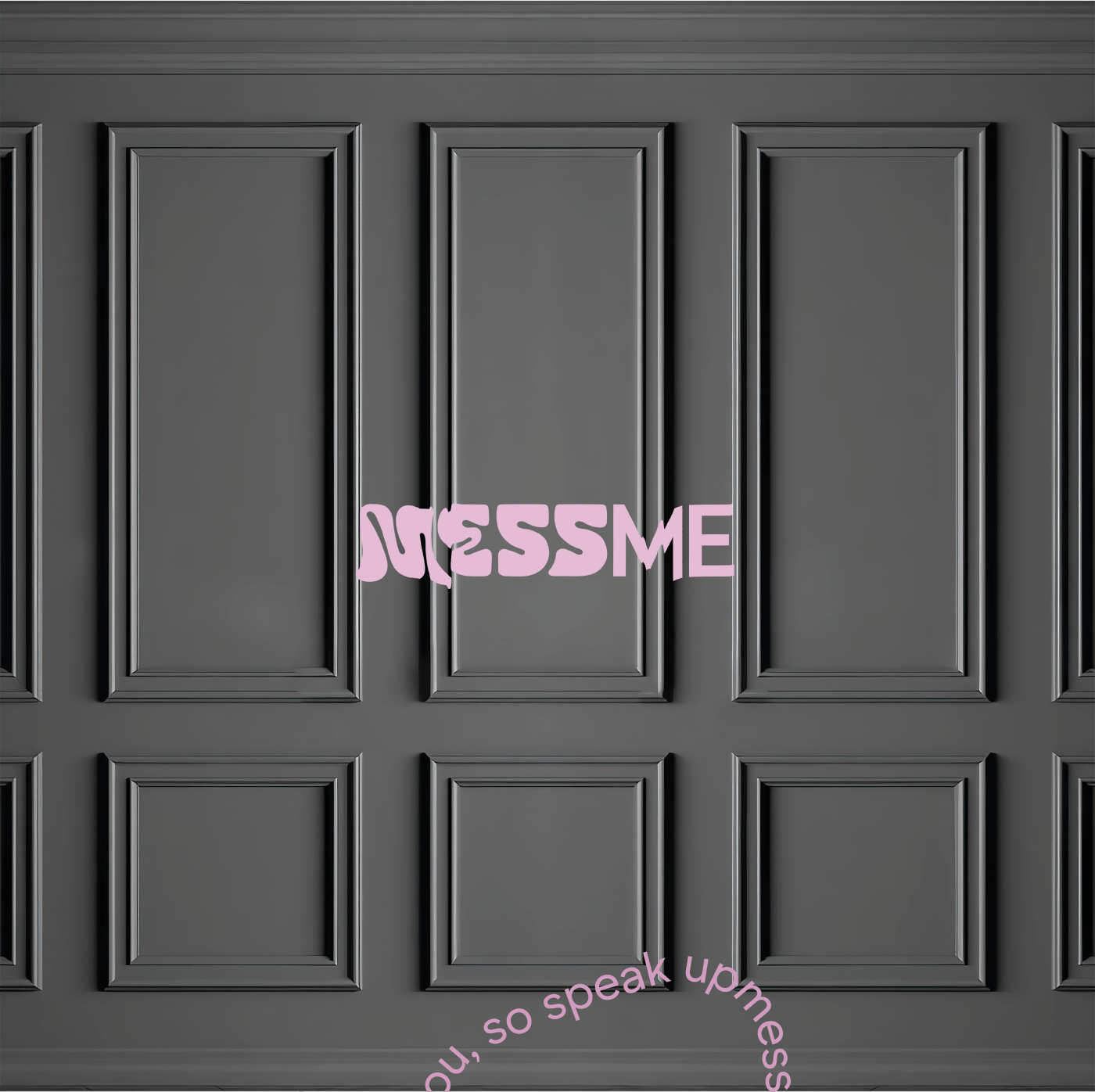 mess me — Изображение №4 — Брендинг, Графика на Dprofile