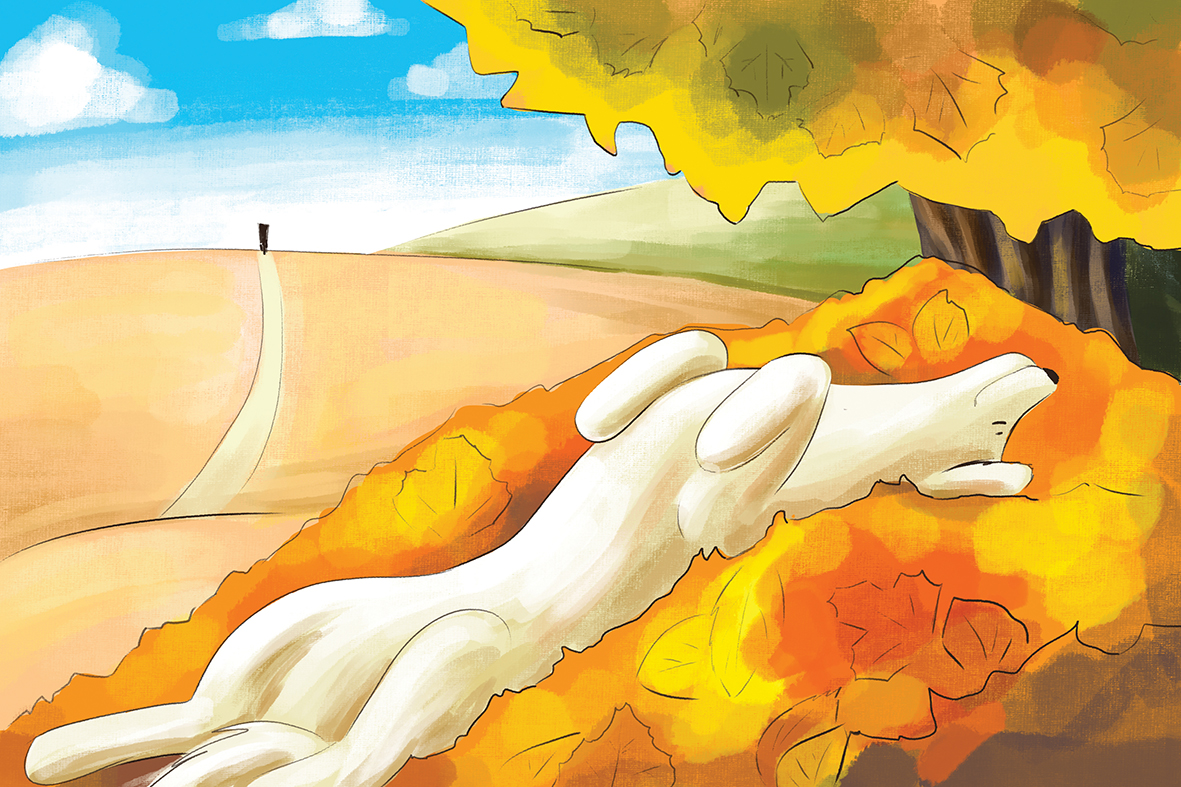 Иллюстрации к детской книге — Изображение №7 — Иллюстрация на Dprofile