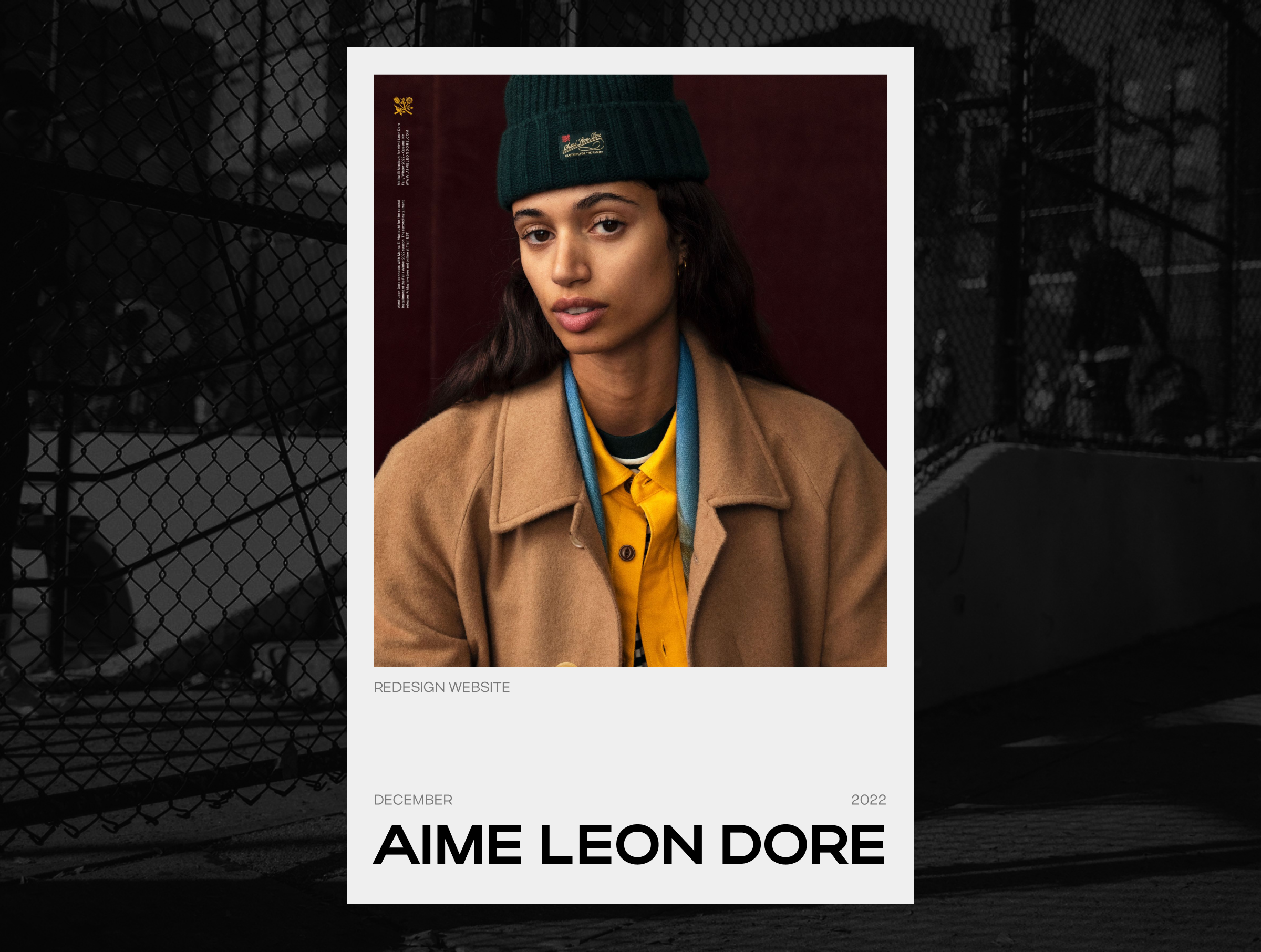 Aime Leon Dore | Redesign Concept — Изображение №1 — Интерфейсы на Dprofile