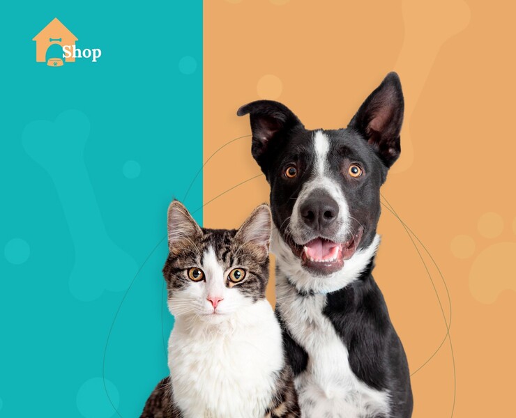 QUIZ FOR PET SHOP на Dprofile