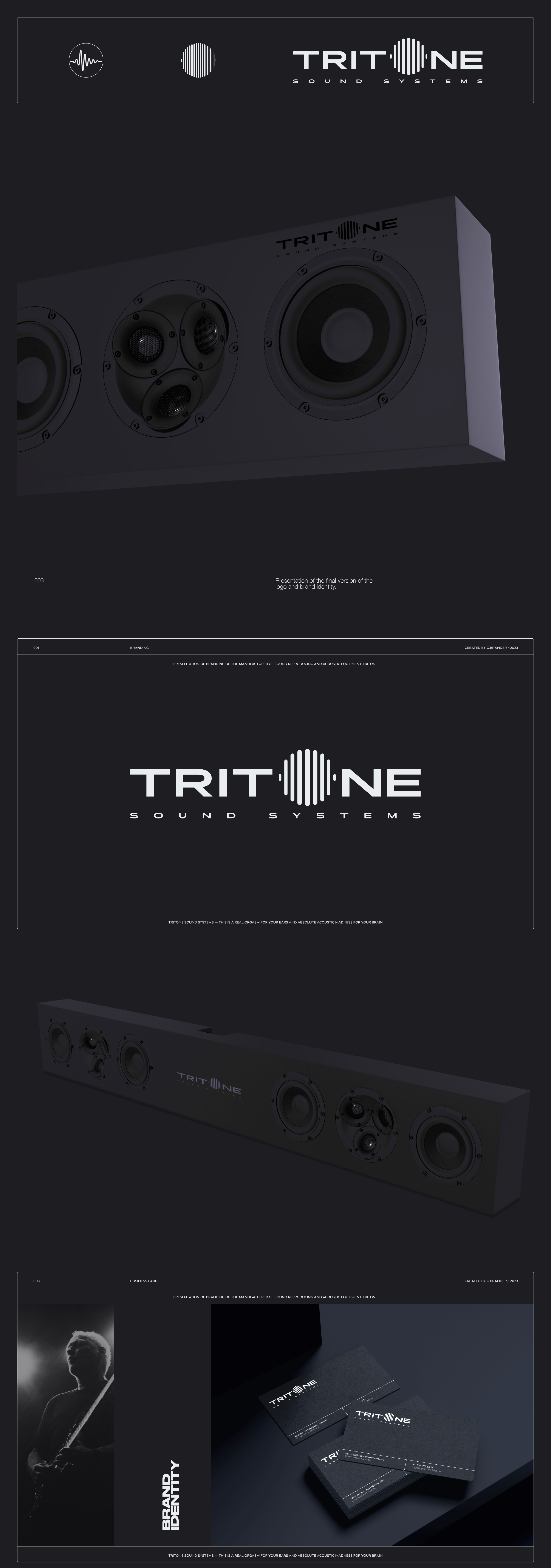 TRITONE SOUND SYSTEMS — Изображение №2 — Брендинг, Маркетинг на Dprofile