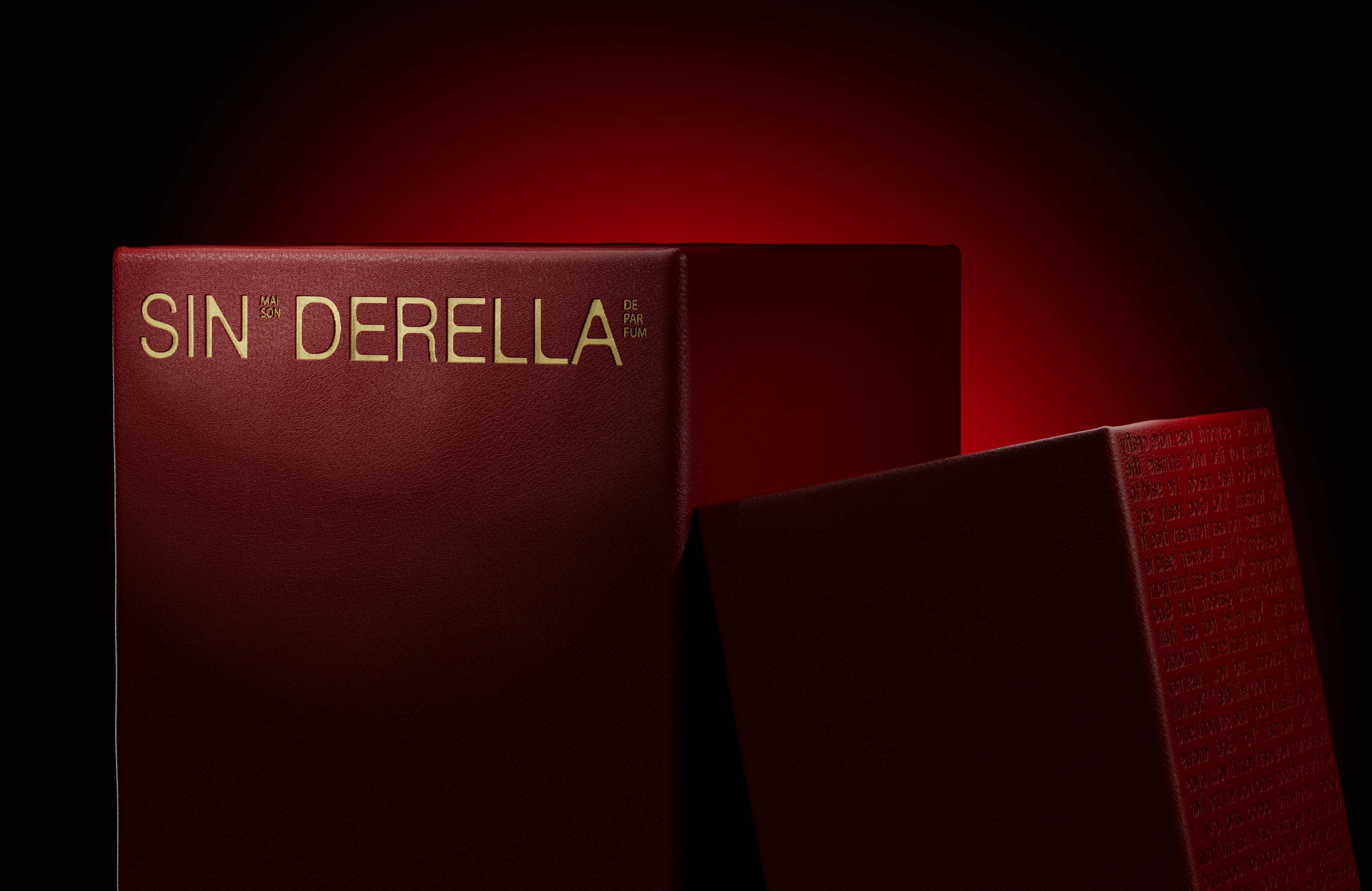 Sinderella — Изображение №11 — Брендинг, 3D на Dprofile