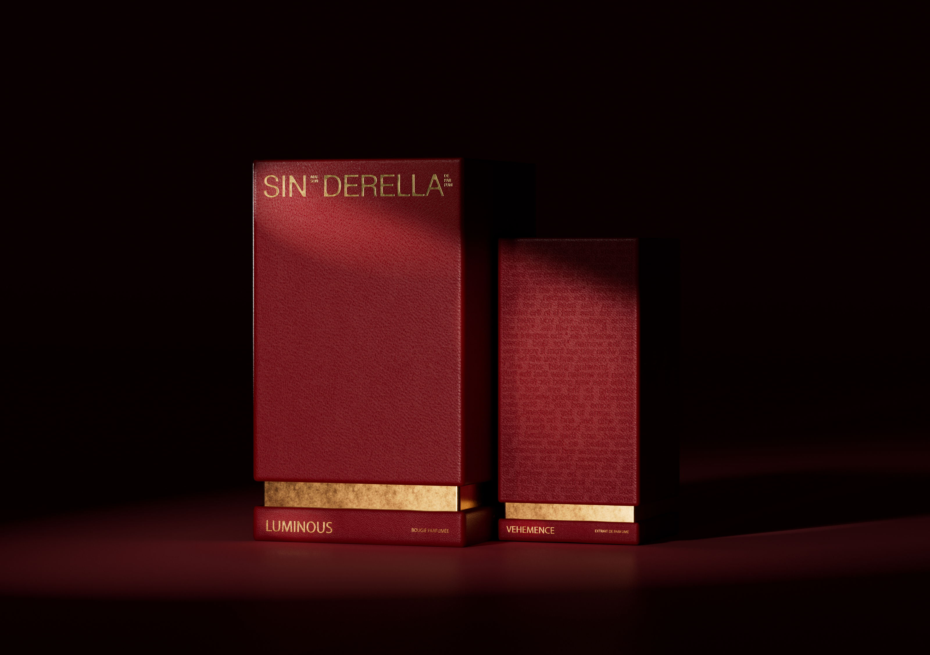 Sinderella — Изображение №7 — Брендинг, 3D на Dprofile