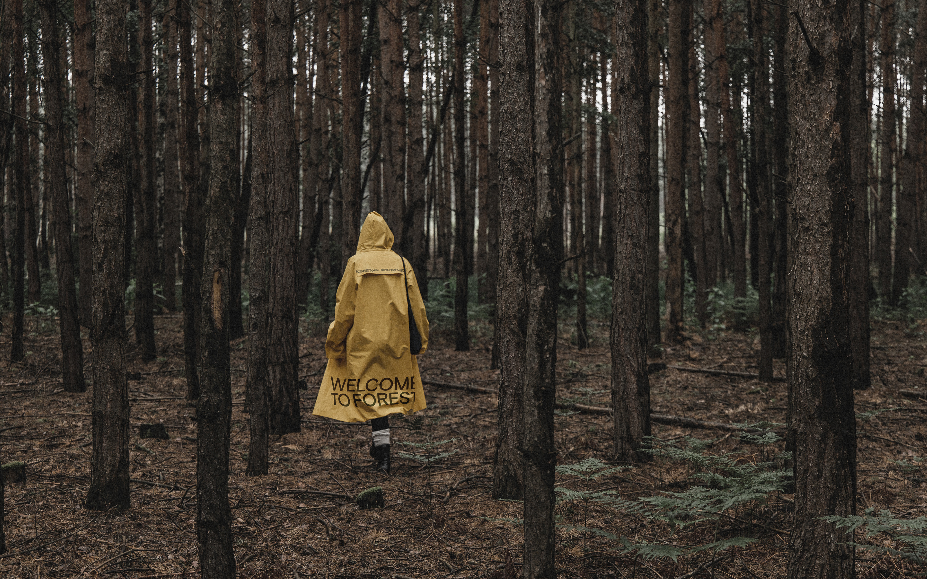 Welcome to forest — Изображение №13 — Брендинг на Dprofile