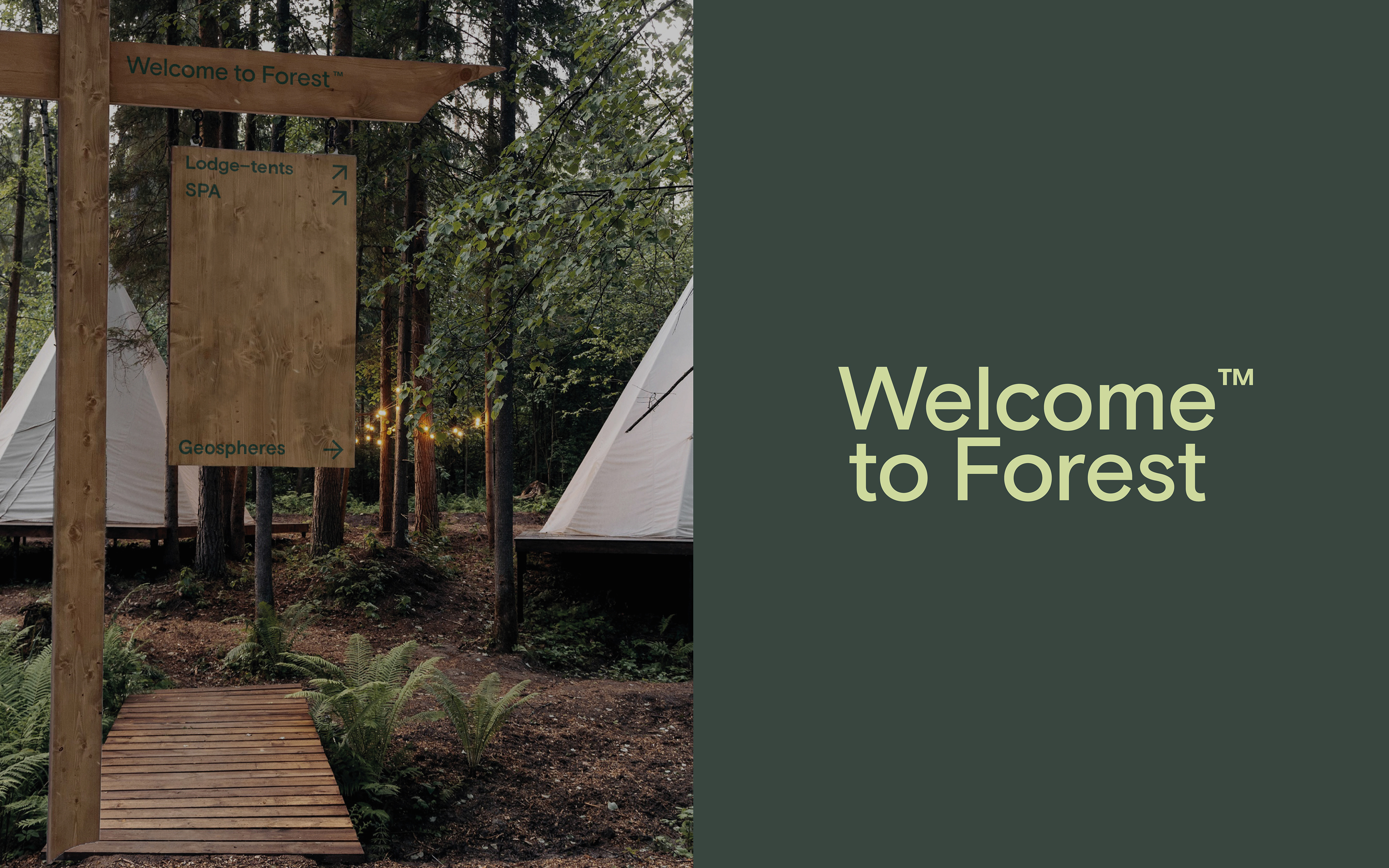 Welcome to forest — Изображение №6 — Брендинг на Dprofile