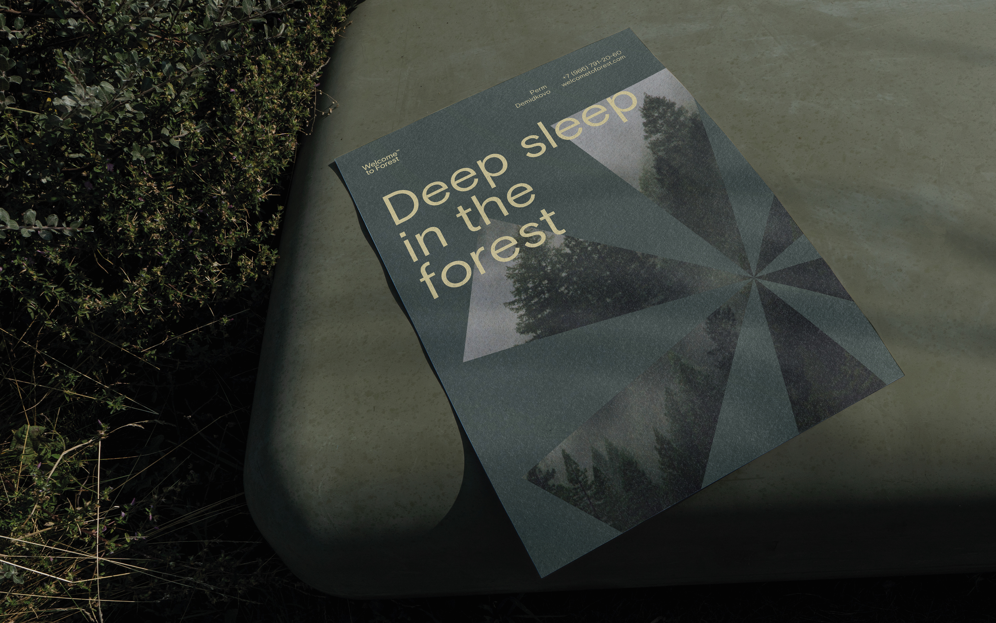 Welcome to forest — Изображение №12 — Брендинг на Dprofile