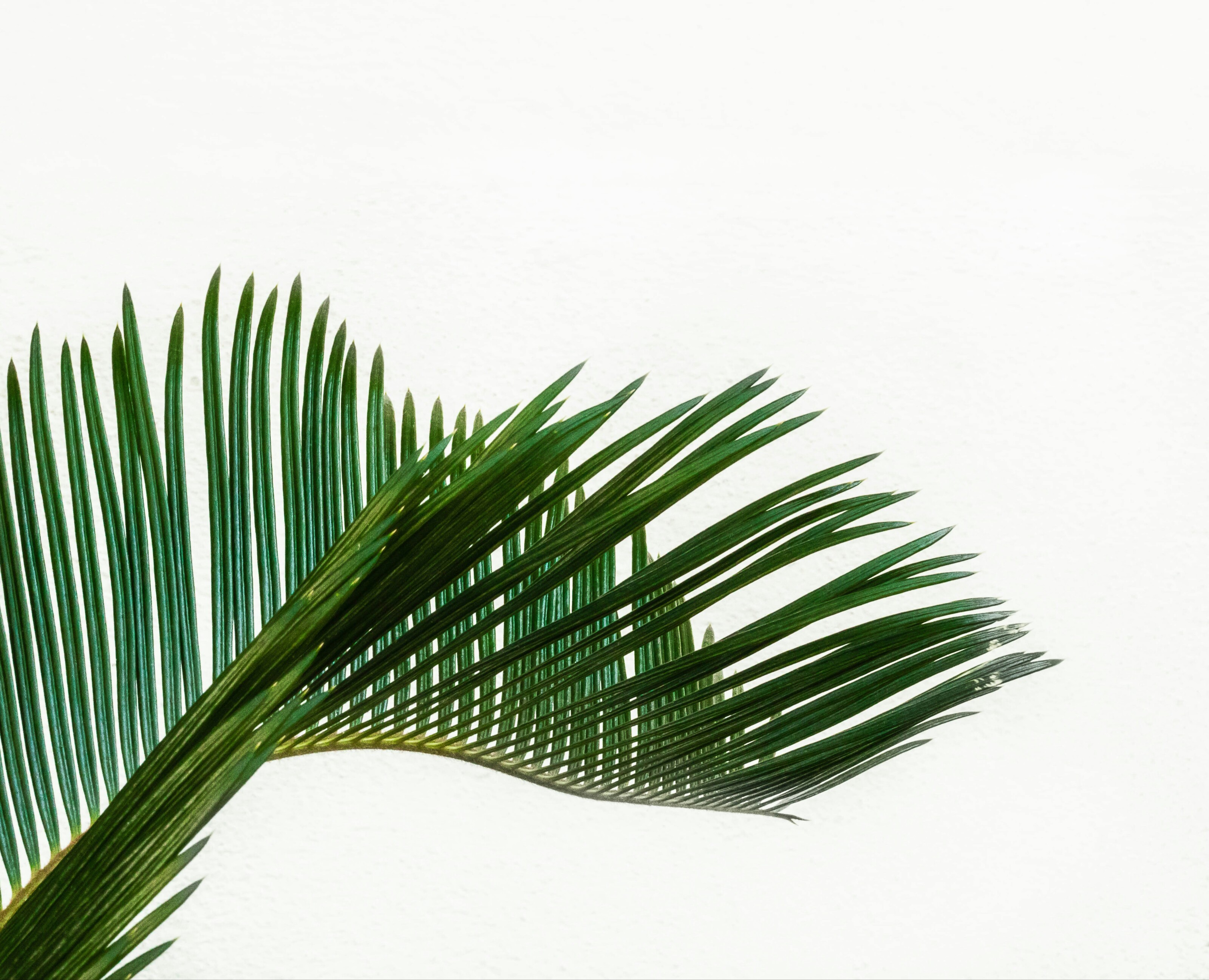 Новый проект новый проект на Dprofile