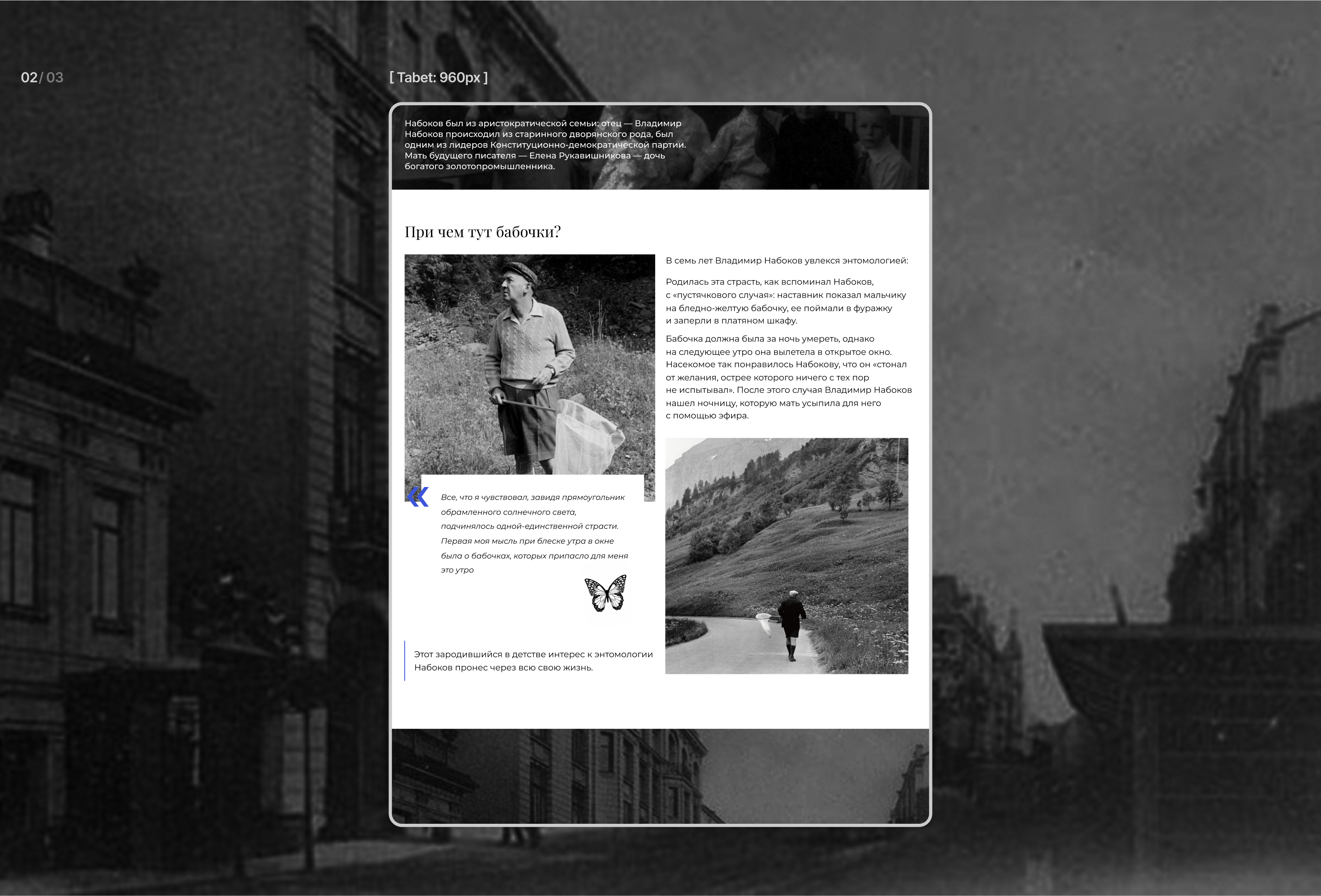 Longread - Владимир Набоков — Изображение №4 — Интерфейсы на Dprofile