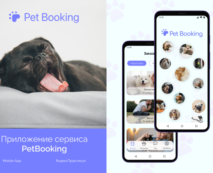 Приложение сервиса PetBooking — Интерфейсы на Dprofile