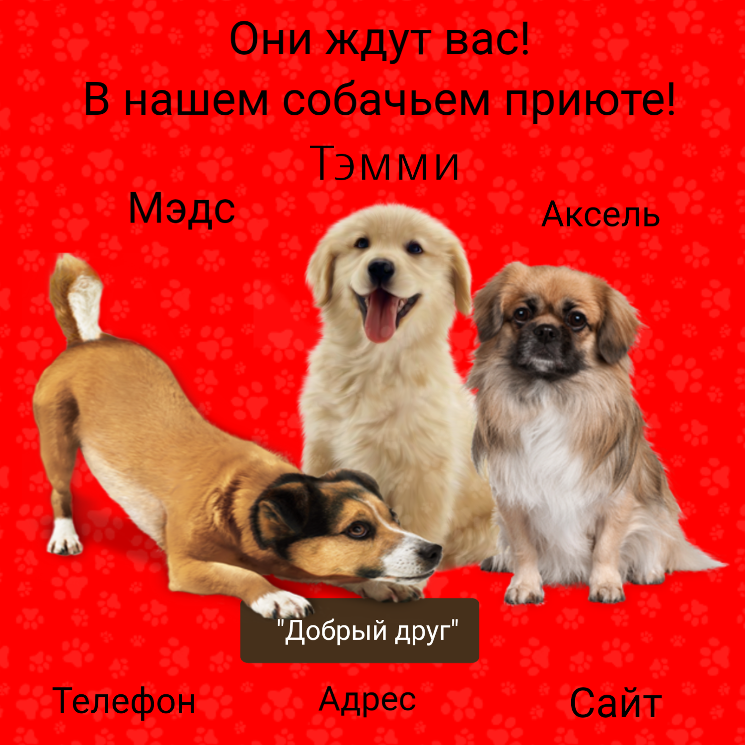Плакаты, флаеры. — Изображение №2 — Брендинг, Маркетинг на Dprofile
