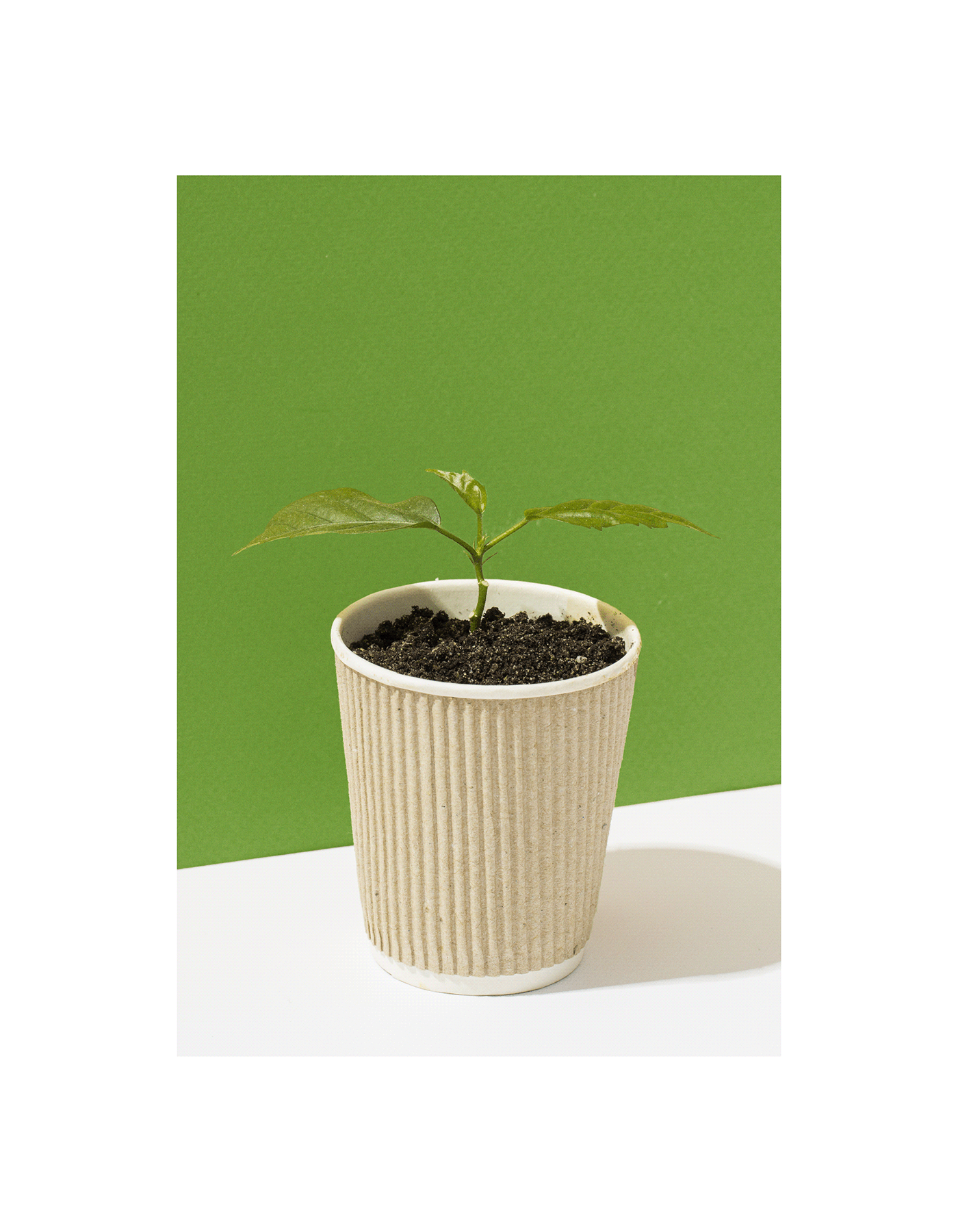 Groc | Агрохолдинг | ECO-friendly Agroholding — Изображение №5 — Брендинг, Графика на Dprofile