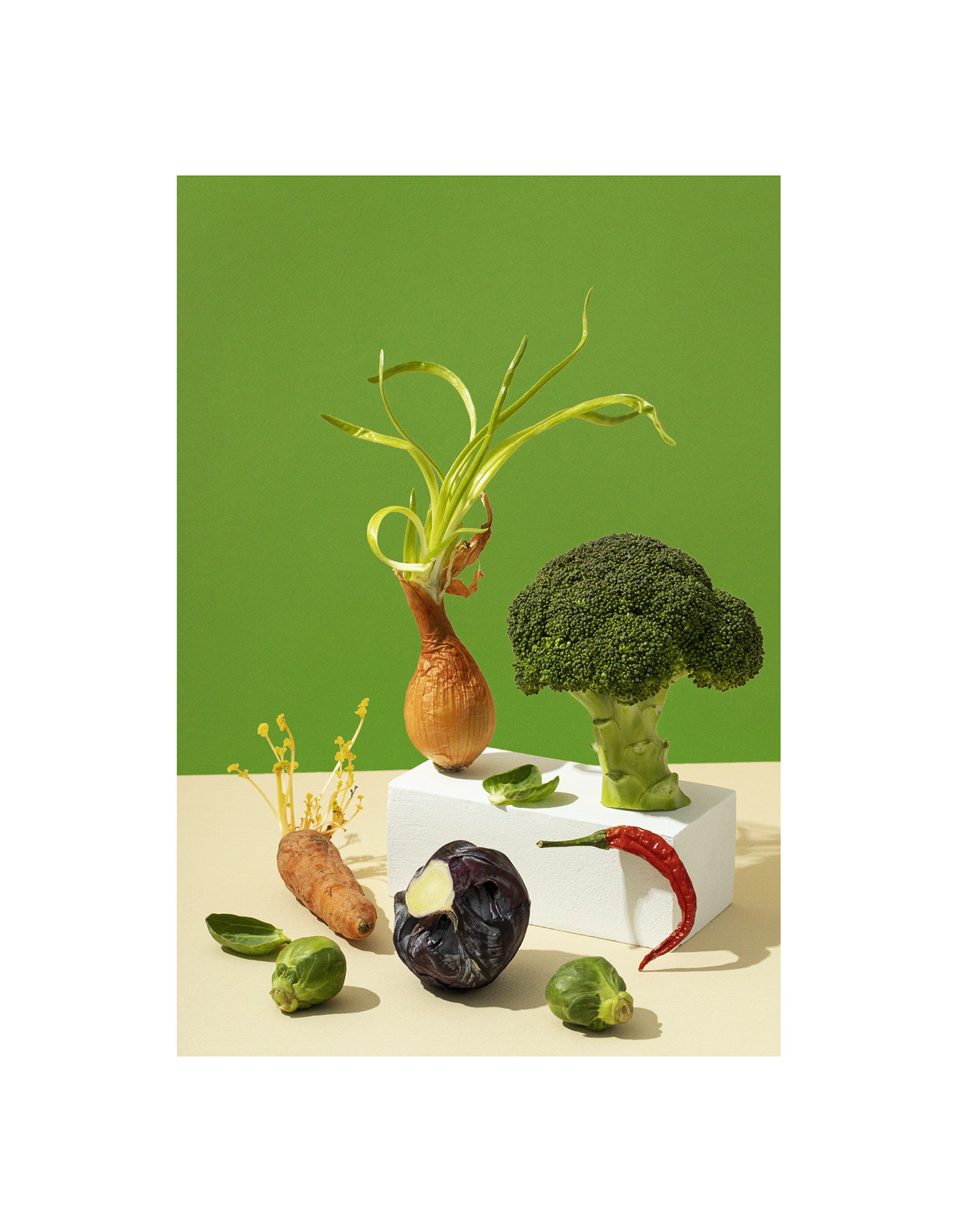 Groc | Агрохолдинг | ECO-friendly Agroholding — Изображение №12 — Брендинг, Графика на Dprofile