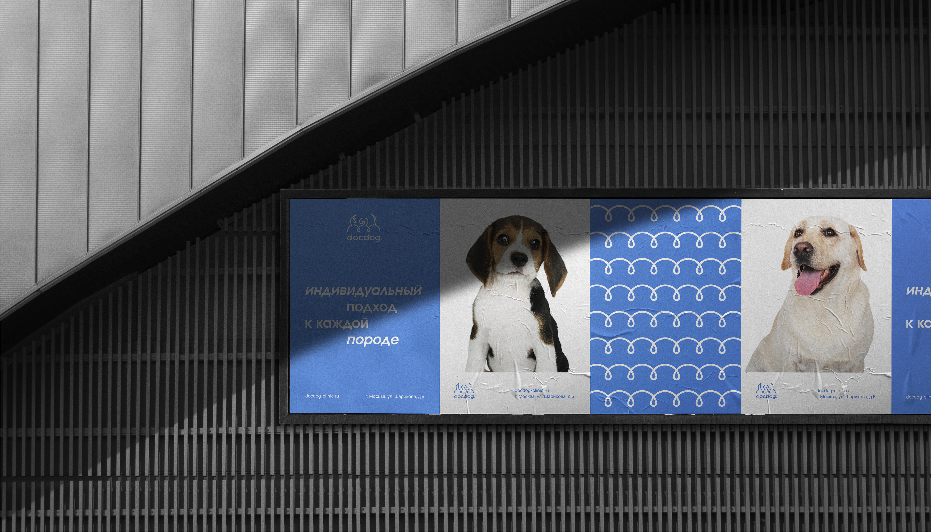 docdog. | Ветеринарная клиника — Изображение №1 — Брендинг, Графика на Dprofile