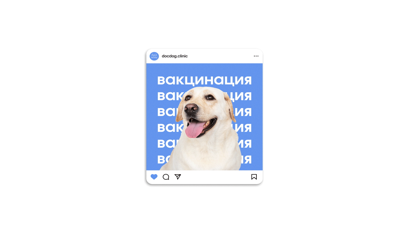 docdog. | Ветеринарная клиника — Изображение №12 — Брендинг, Графика на Dprofile