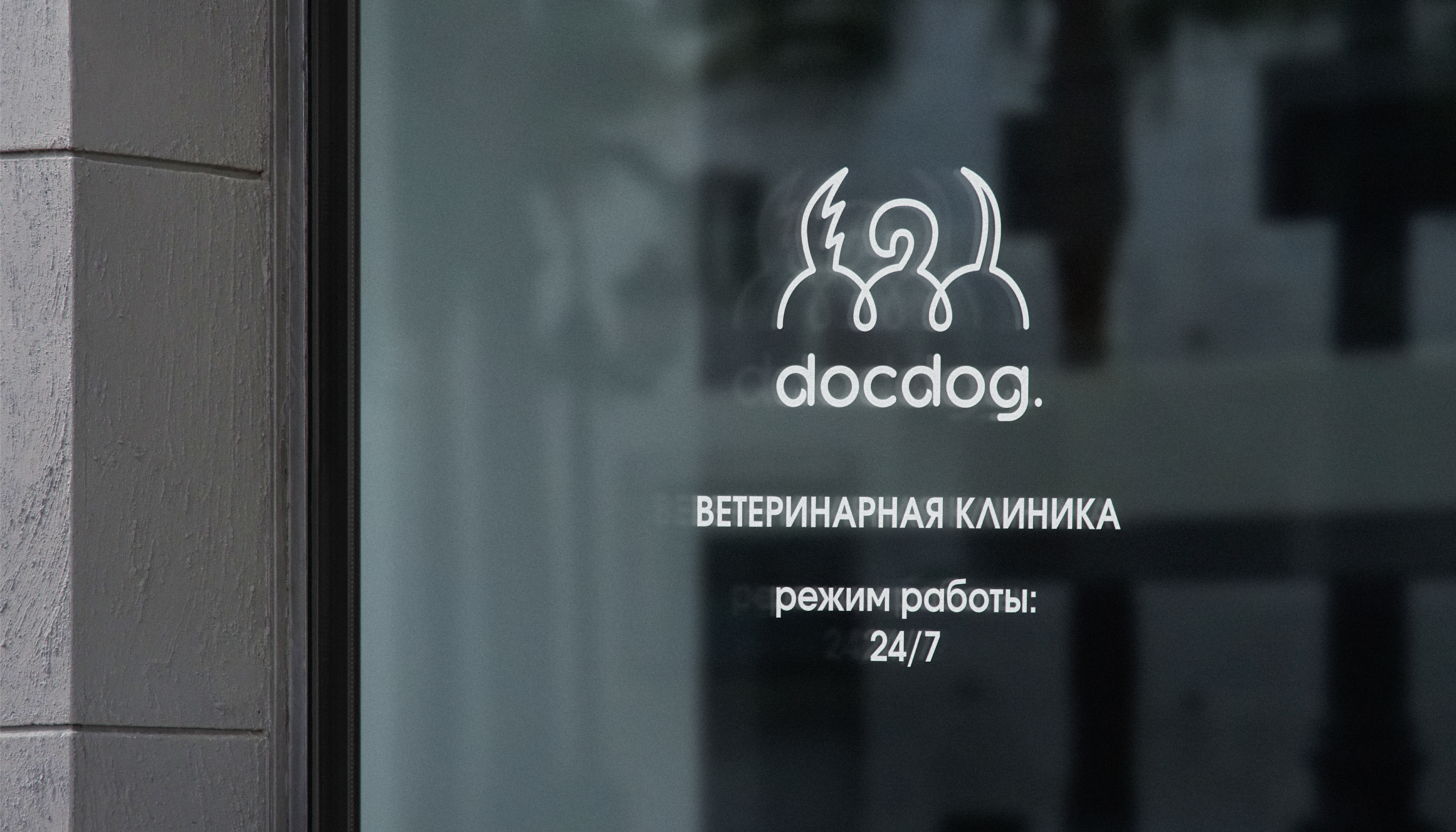 docdog. | Ветеринарная клиника — Изображение №14 — Брендинг, Графика на Dprofile