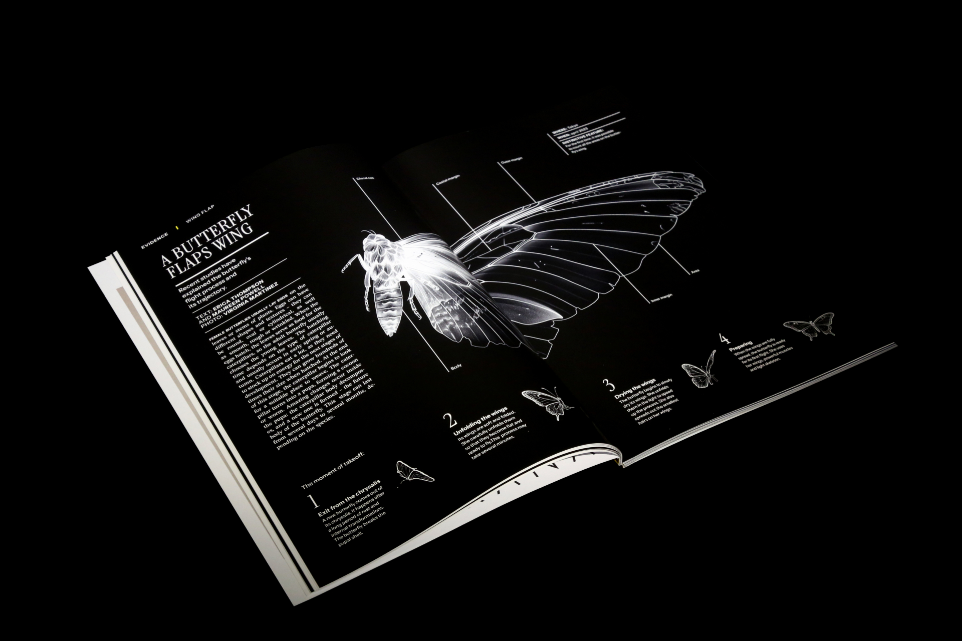 Псевдожурнал National Geographic — Изображение №6 — Графика на Dprofile