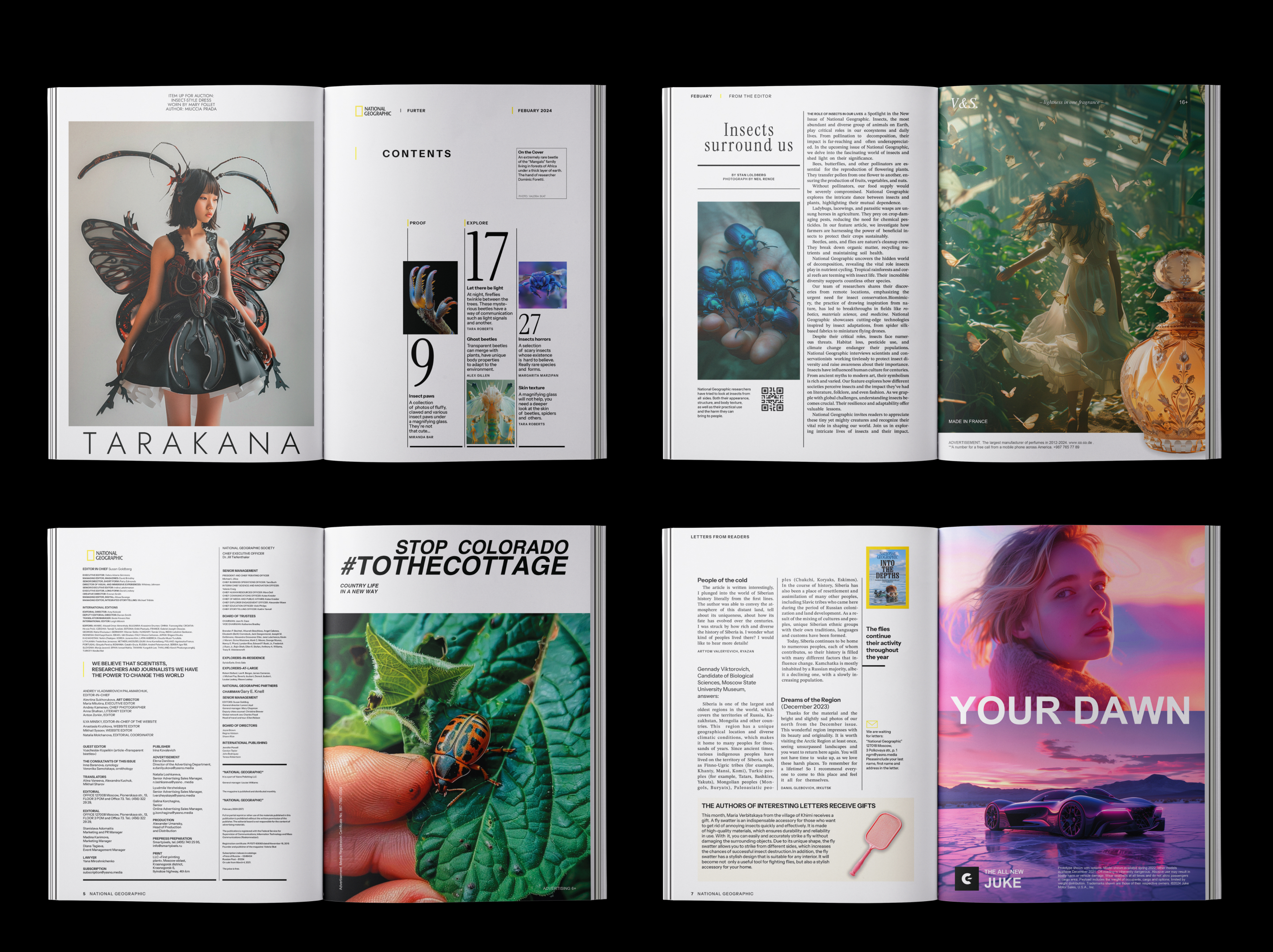 Псевдожурнал National Geographic — Изображение №5 — Графика на Dprofile