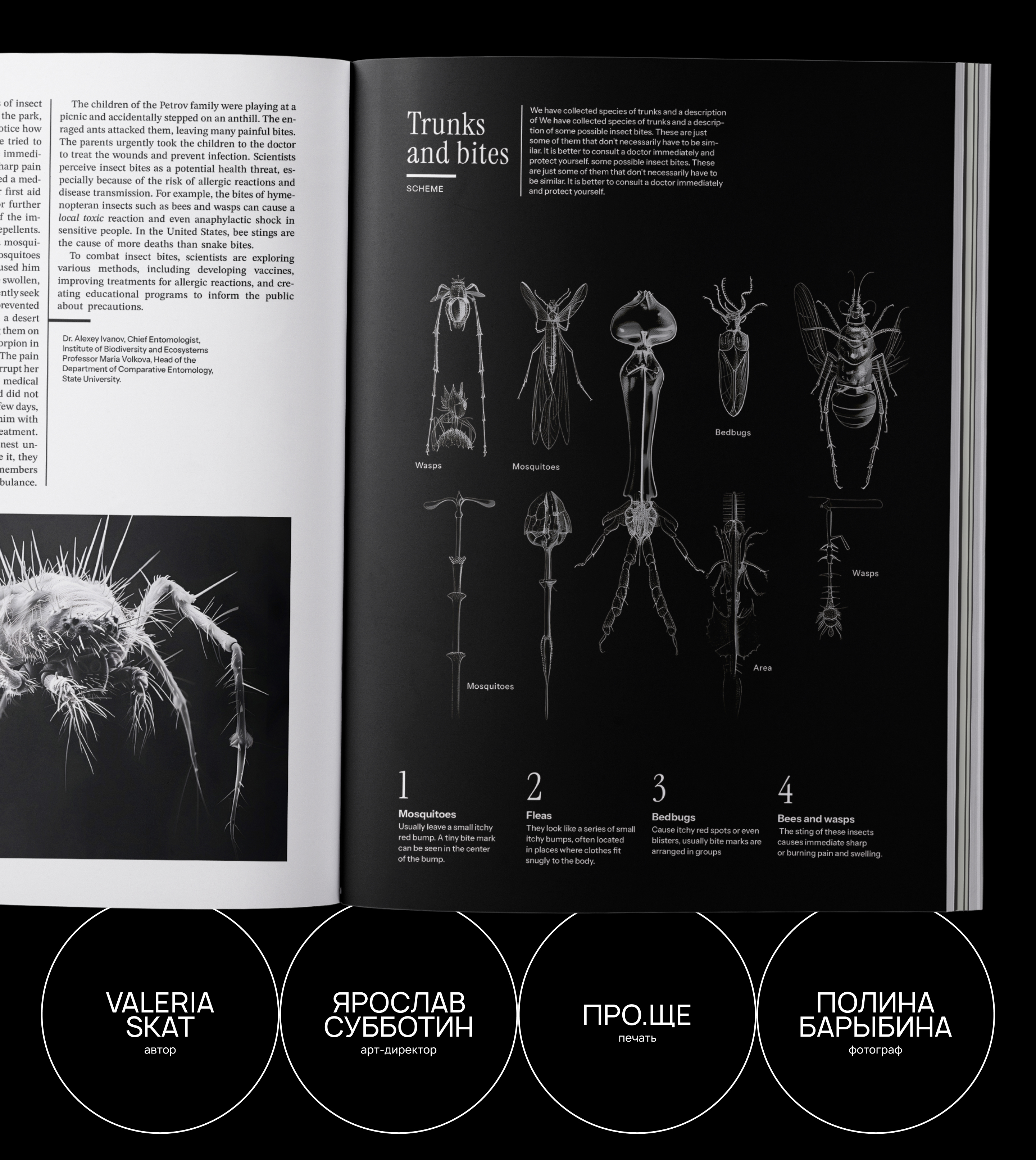 Псевдожурнал National Geographic — Изображение №17 — Графика на Dprofile