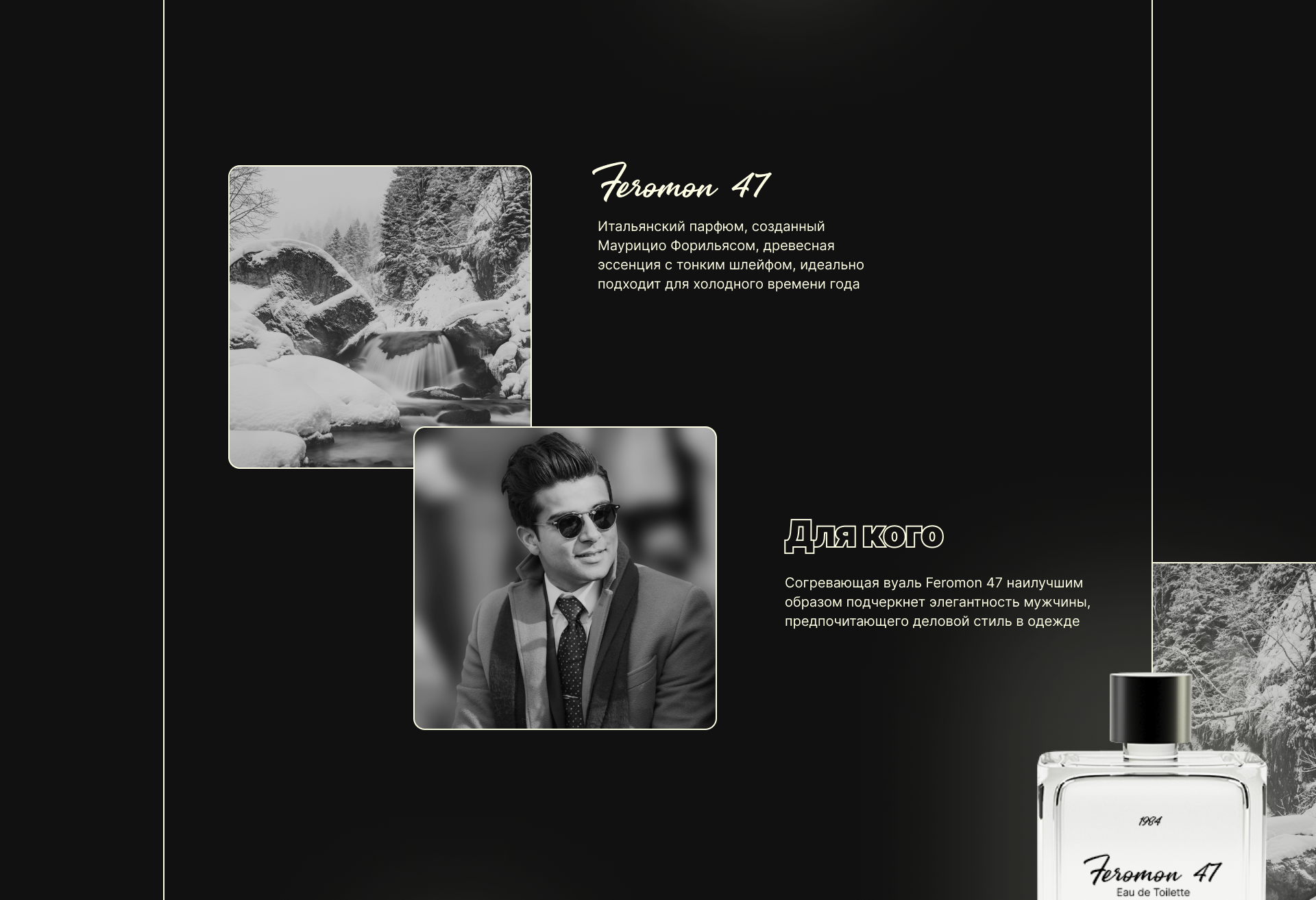 Feromon 47 — Изображение №5 — Интерфейсы на Dprofile