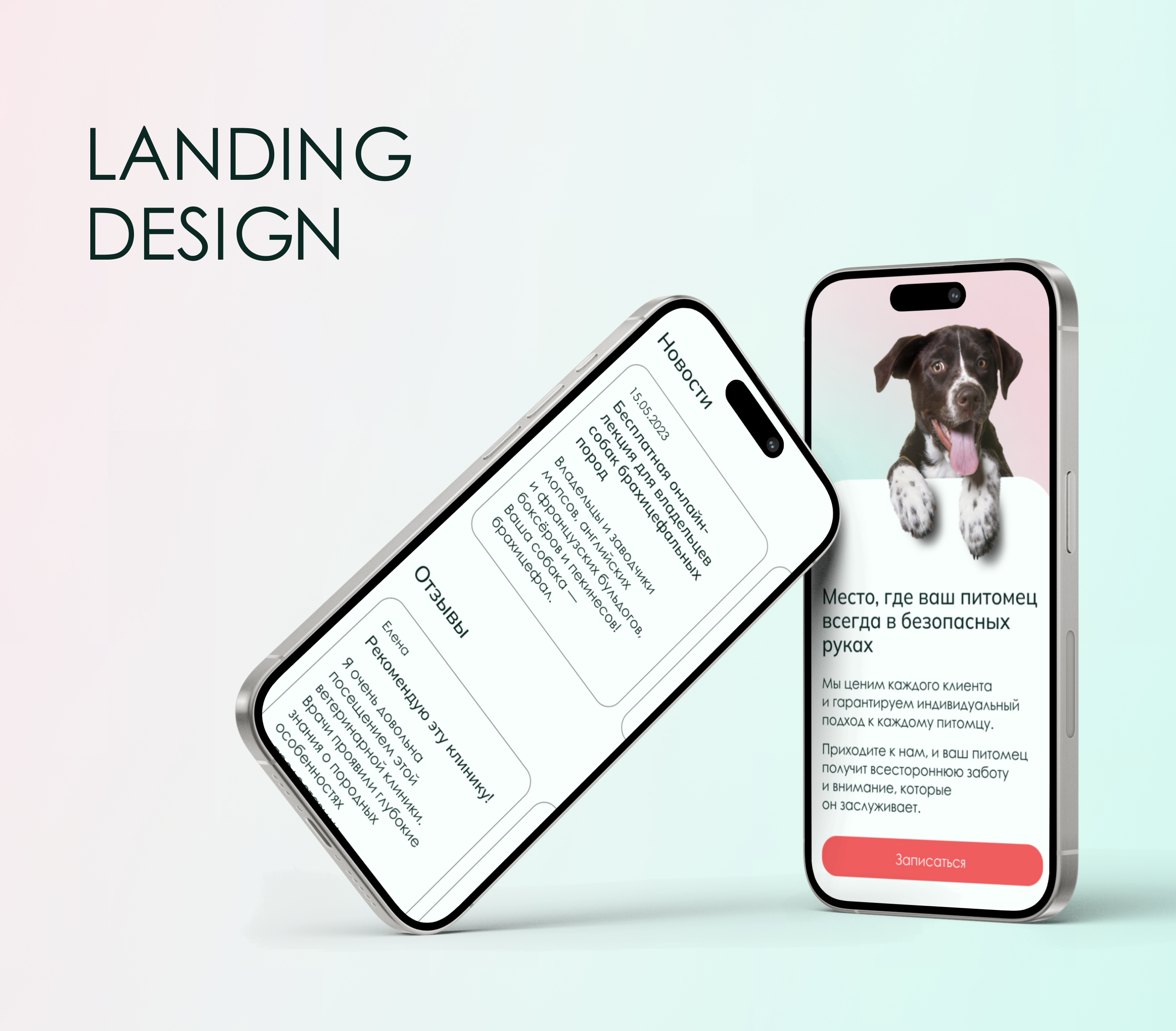 Vet clinic | Landing page — Изображение №3 — Интерфейсы на Dprofile