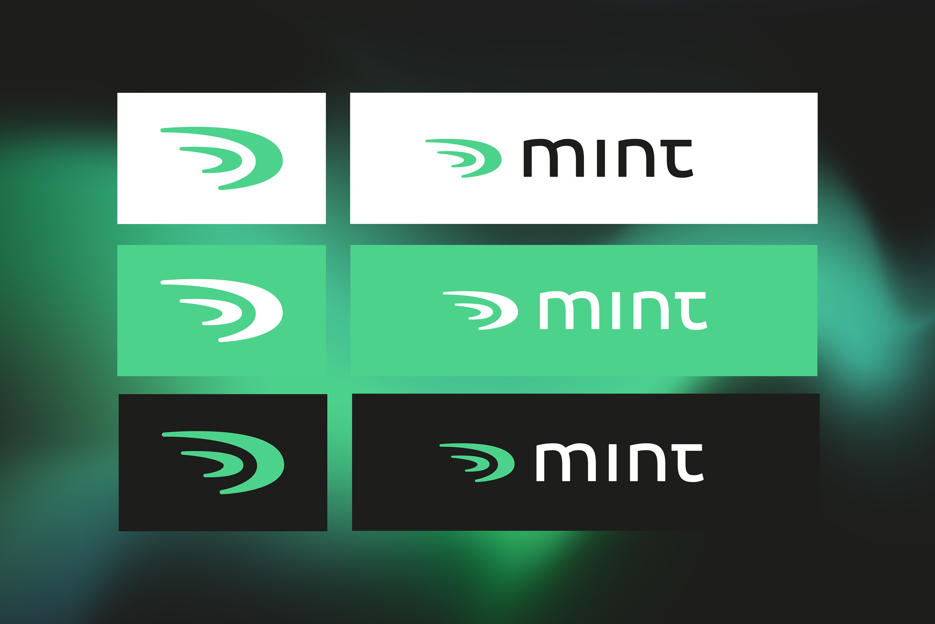 Mint | Техника | Logo & Brand Identity — Изображение №3 — Брендинг, Маркетинг на Dprofile