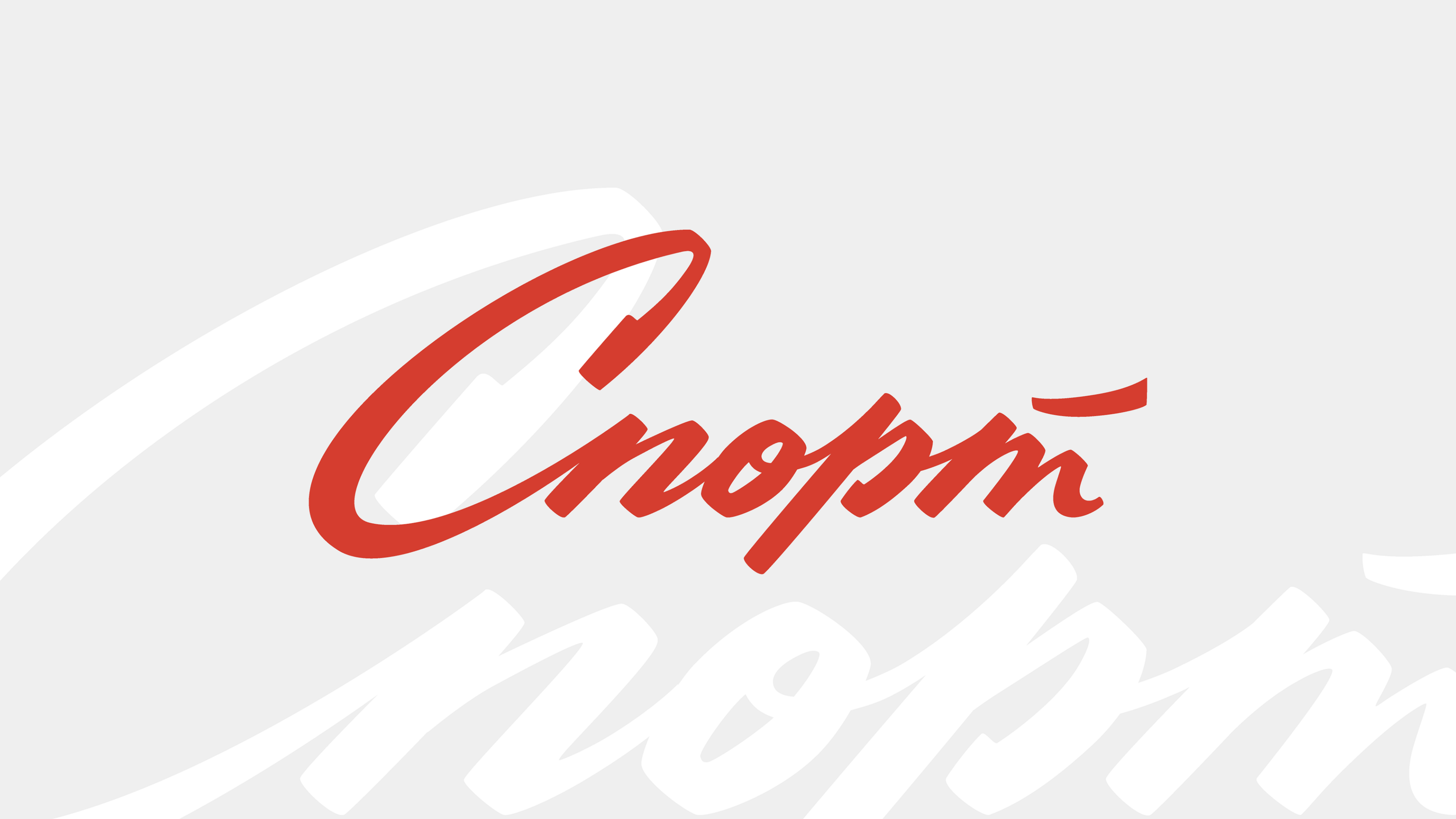 Спорт | Леттеринг логотип | Lettering logo — Изображение №2 — Брендинг, Графика на Dprofile