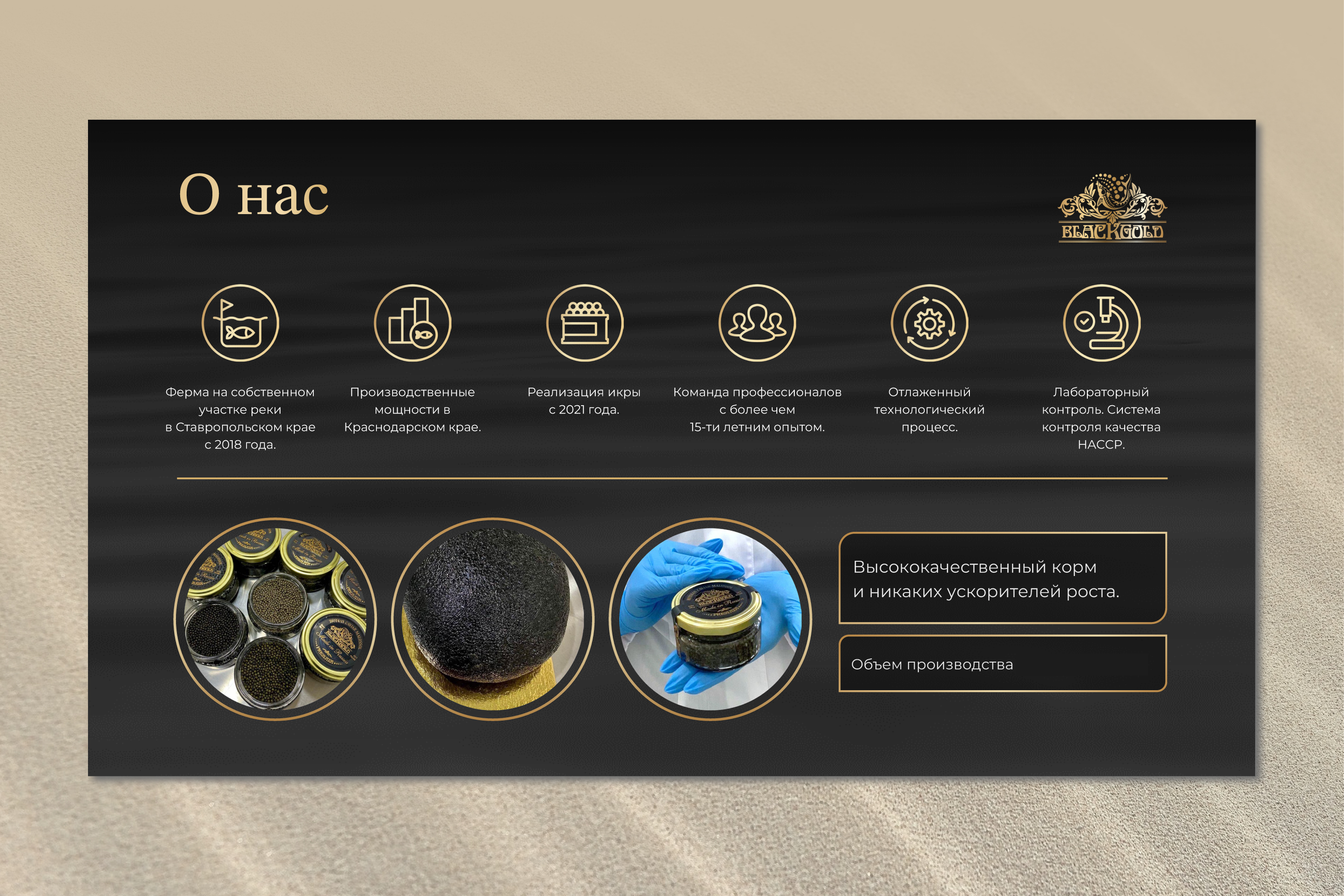 Blackgold | Презентация PowerPoint — Изображение №6 — Интерфейсы на Dprofile