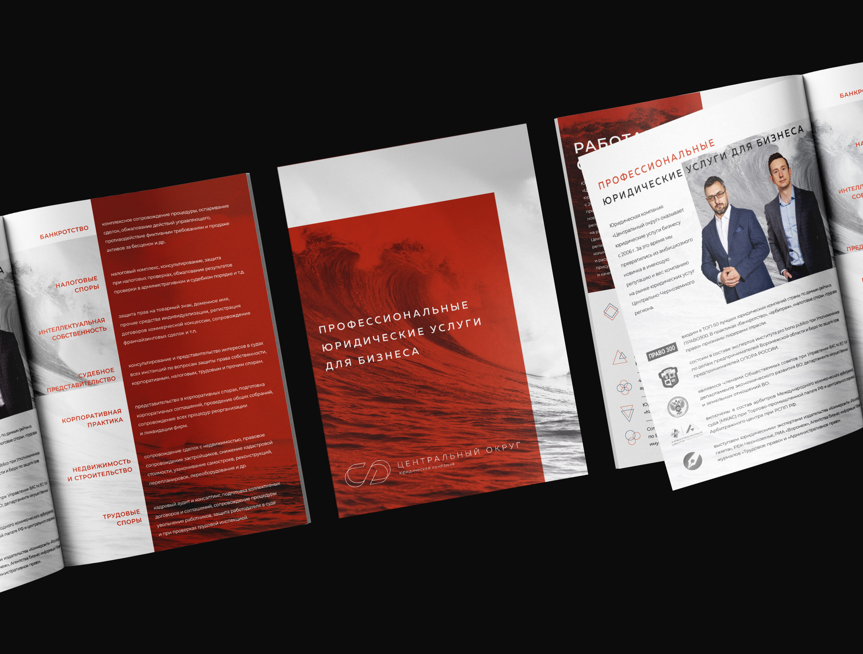 Law firm - Identity and website — Изображение №5 — Интерфейсы на Dprofile