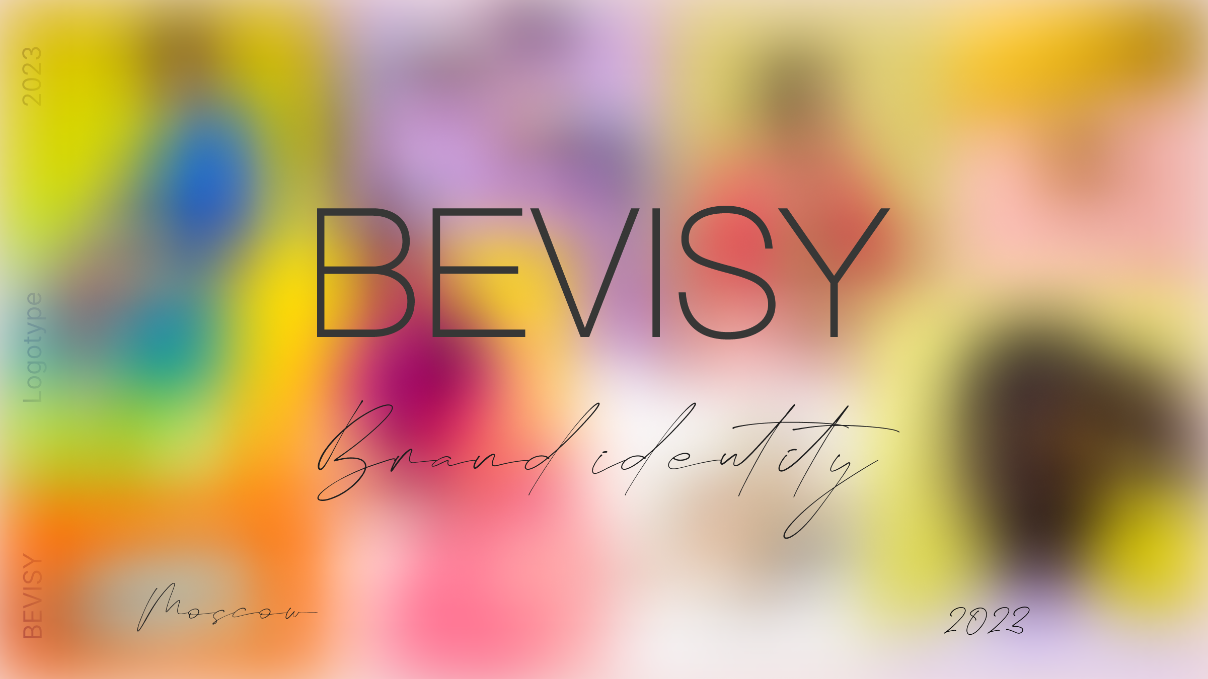 Bevisy — Изображение №1 — Брендинг, Графика на Dprofile