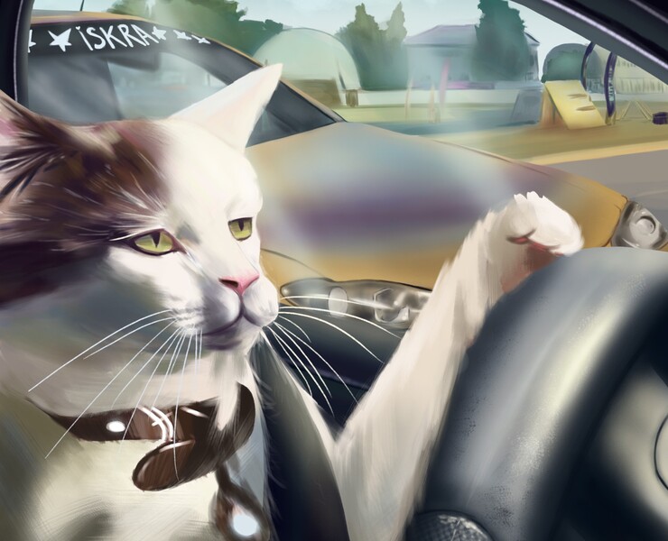 CAT RACER — Брендинг на Dprofile