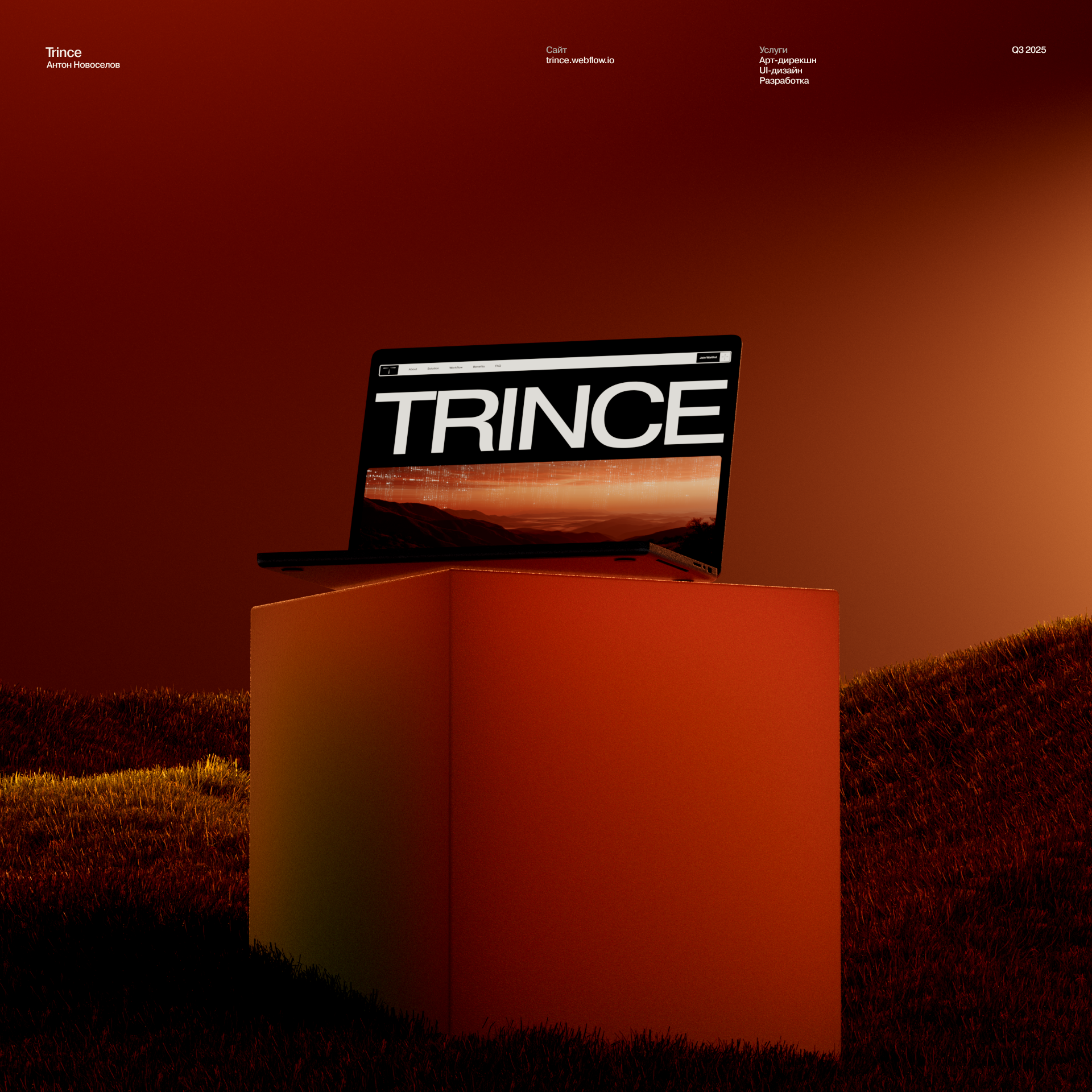 Trince — Изображение №1 — Интерфейсы, Брендинг на Dprofile