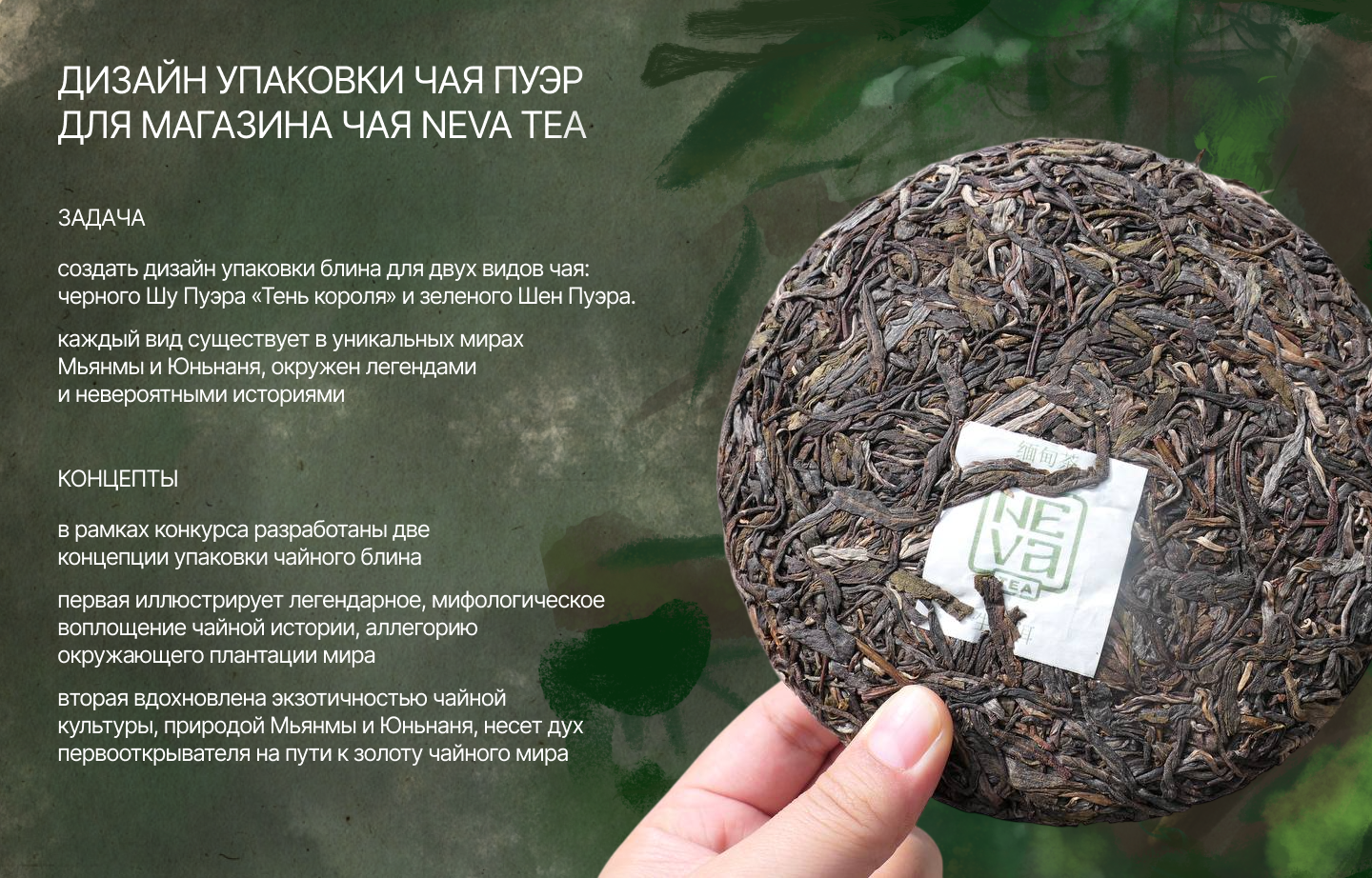 Упаковка пуэра для магазина NEVA TEA — Изображение №2 — Брендинг, Иллюстрация на Dprofile