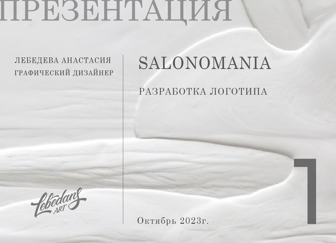 SALONOMANIA — Изображение №1 — Брендинг, Графика на Dprofile