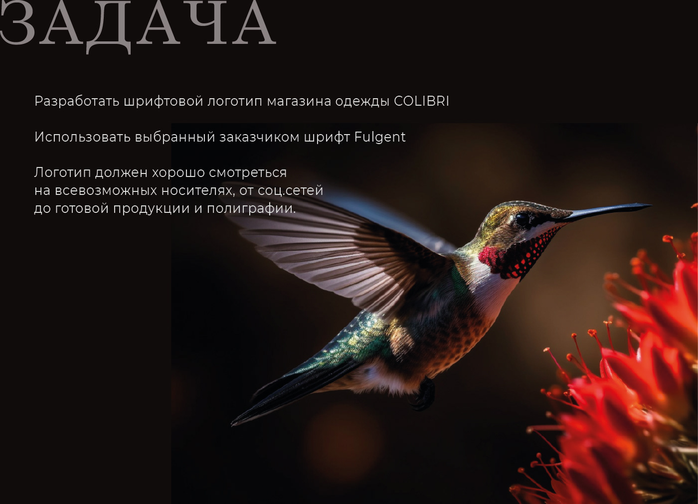 Логотип / Азия / АзиаТаун / Азиатская кухня и товары — Изображение №2 — Брендинг, Маркетинг на Dprofile