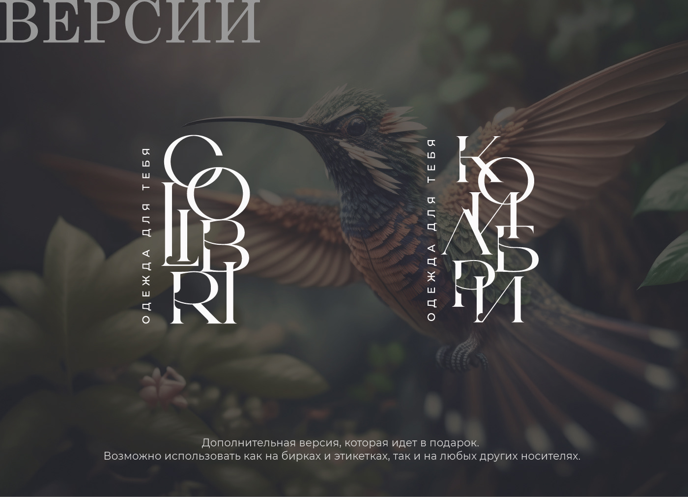 Логотип / Азия / АзиаТаун / Азиатская кухня и товары — Изображение №6 — Брендинг, Маркетинг на Dprofile