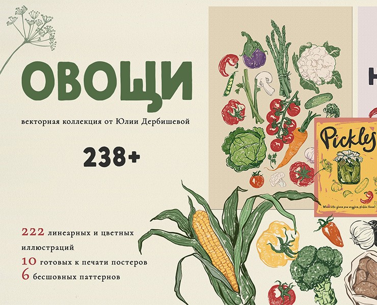 Овощи векторные иллюстрации, паттерны и постеры — Иллюстрация, Графика на Dprofile
