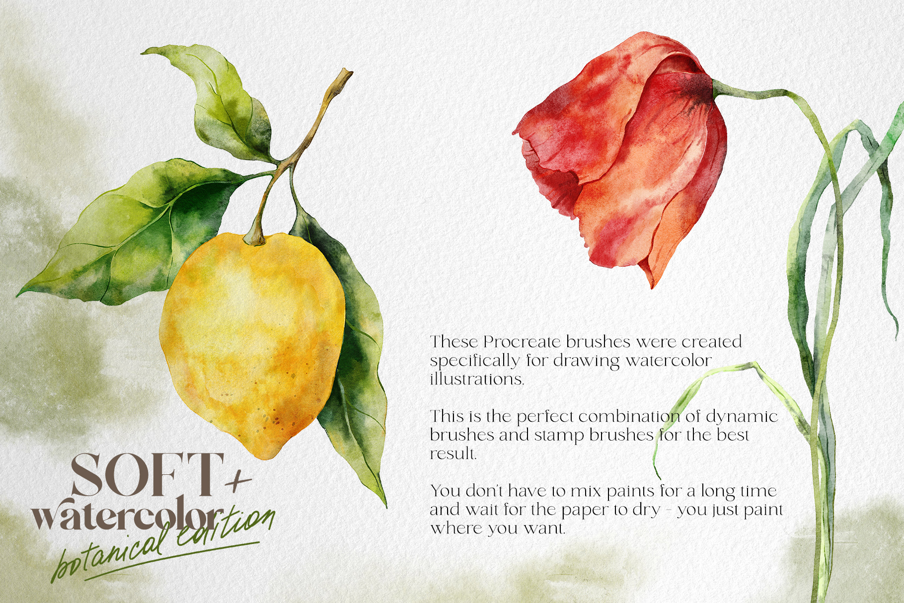 Soft watercolor Procreate brushes + botanical edition — Изображение №4 — Иллюстрация, Графика на Dprofile