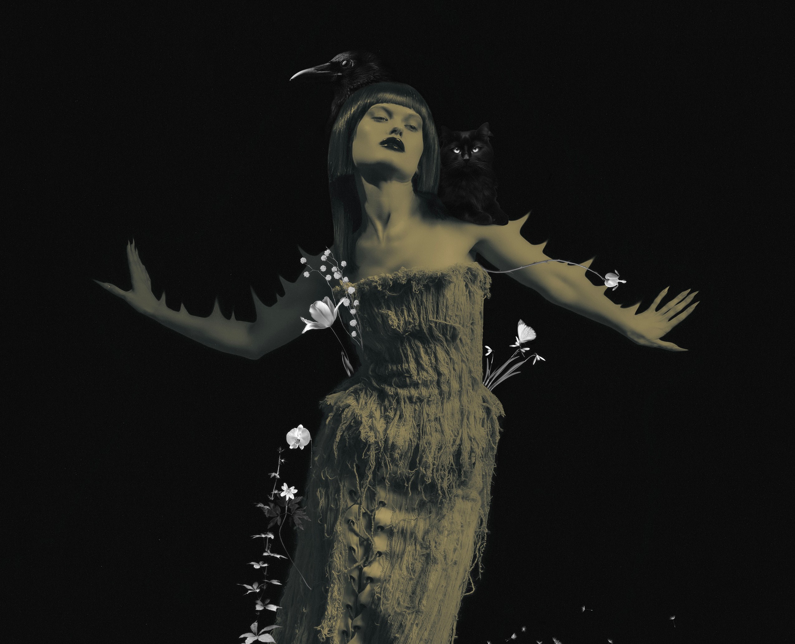 Dark waters. Photoshoot — Иллюстрация, Графика на Dprofile