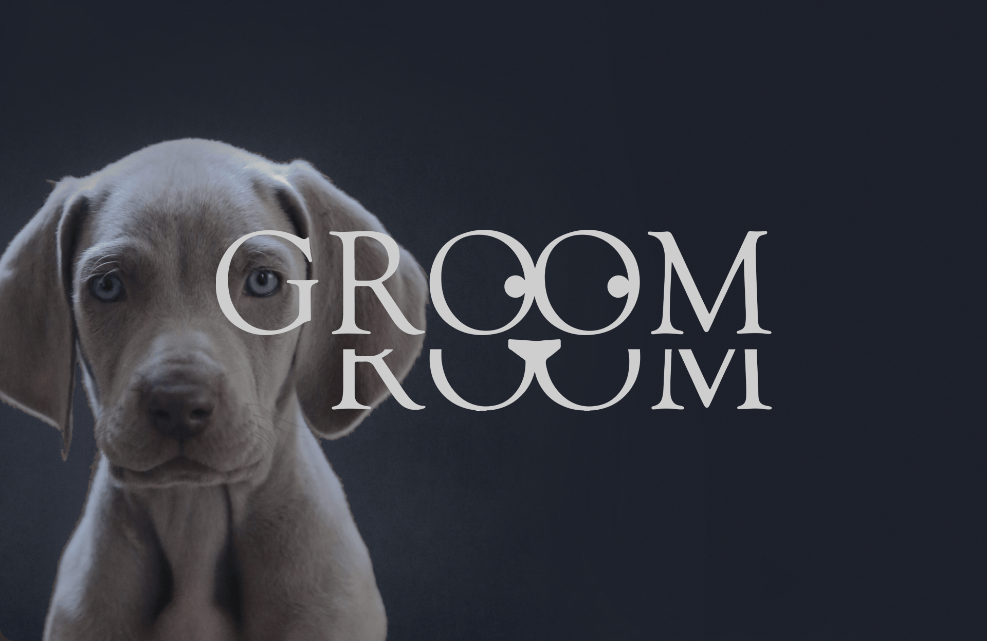 GROOM ROOM (груминг салон) — Изображение №1 — Брендинг на Dprofile