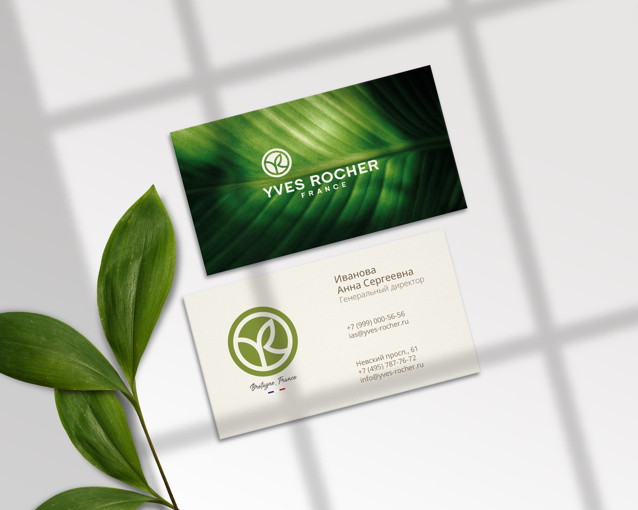 Разработка визитки для французской косметики — Изображение №1 — Иллюстрация, Графика на Dprofile