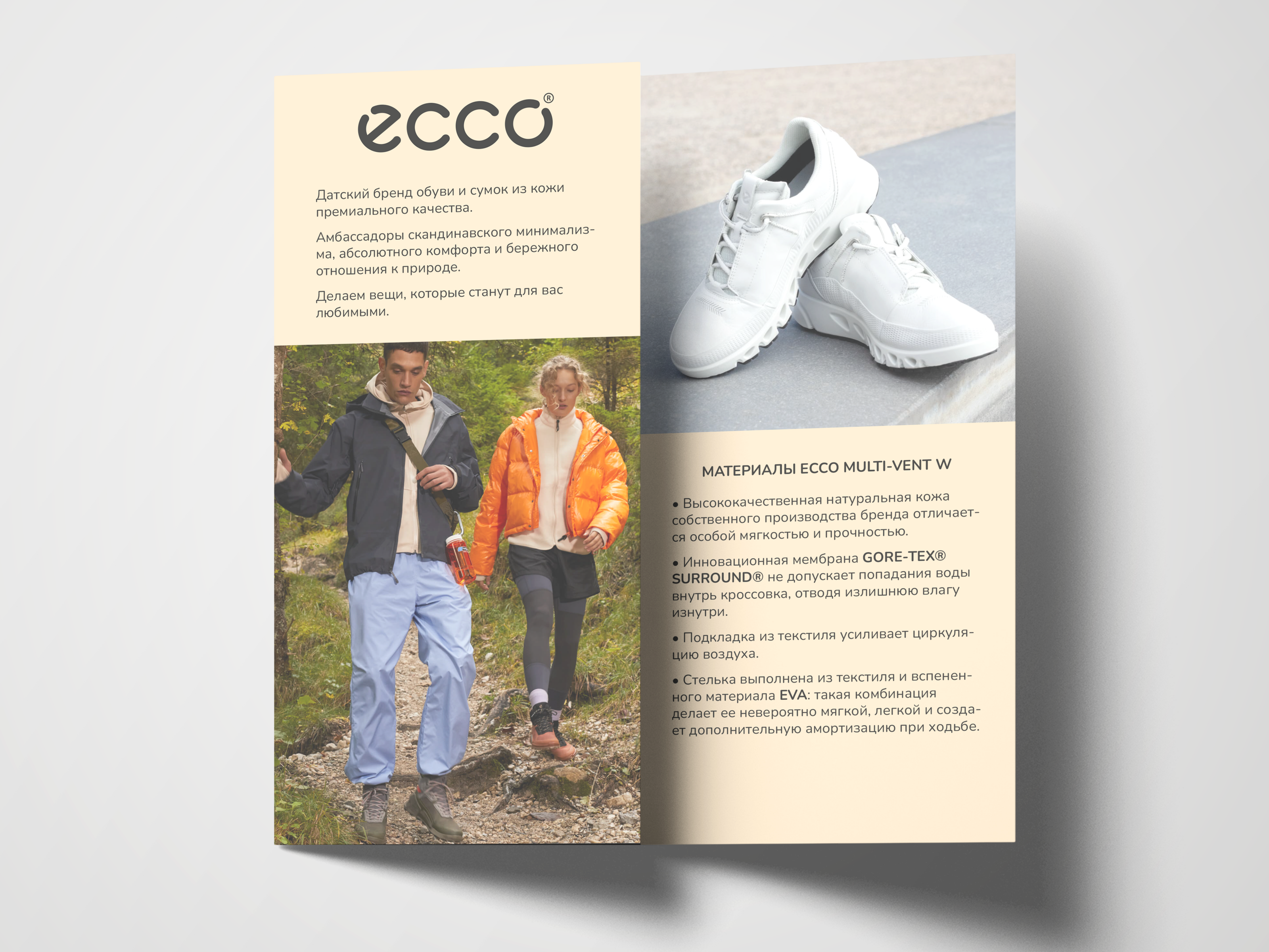 Разработка 6-ти страничного лифлета для магазина обуви — Изображение №1 — Графика, Маркетинг на Dprofile